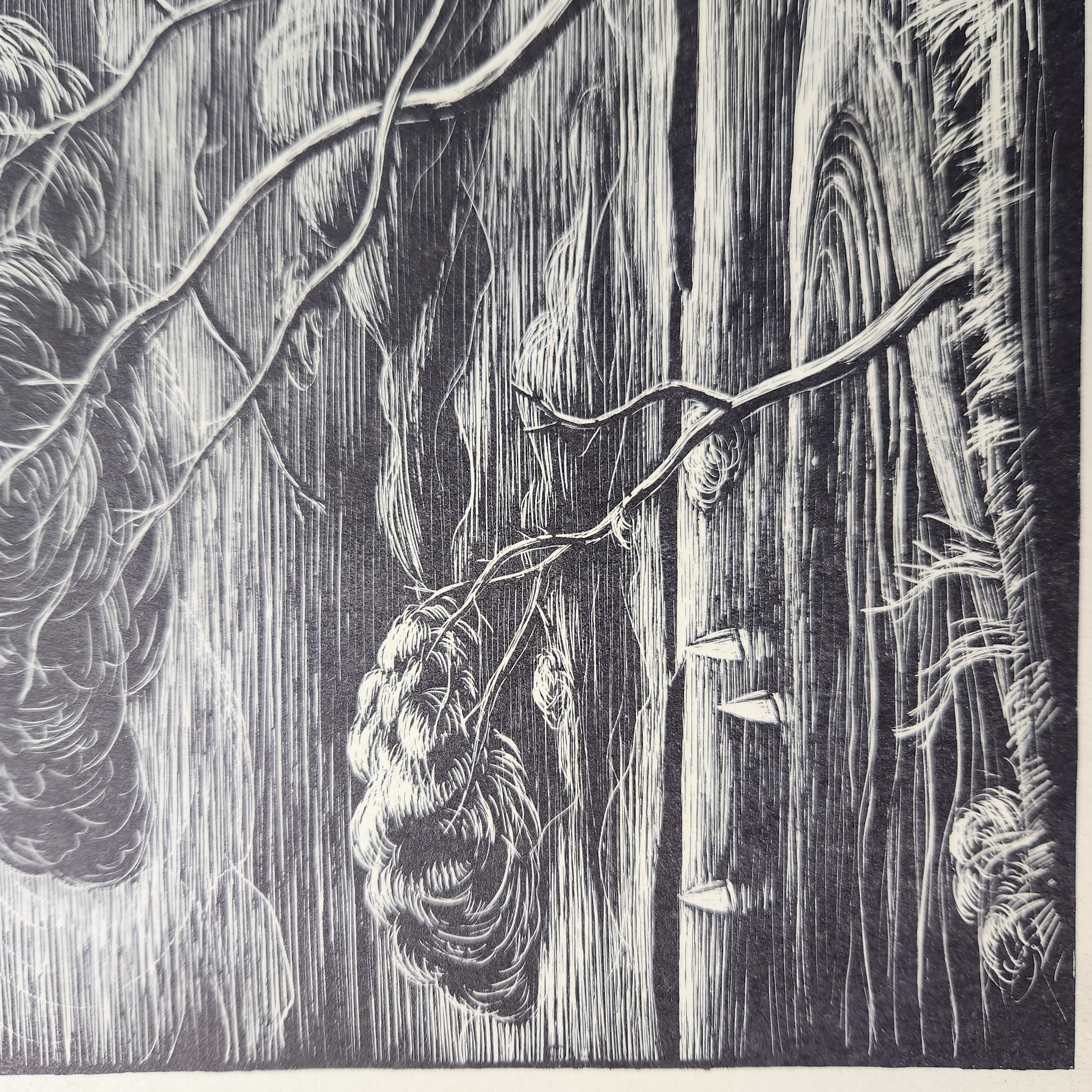 Norton Howe Prints of Gurdon Howe
