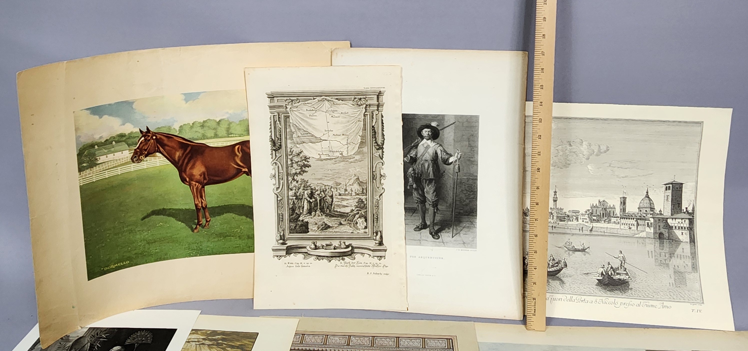 Assortment of Prints Photographs