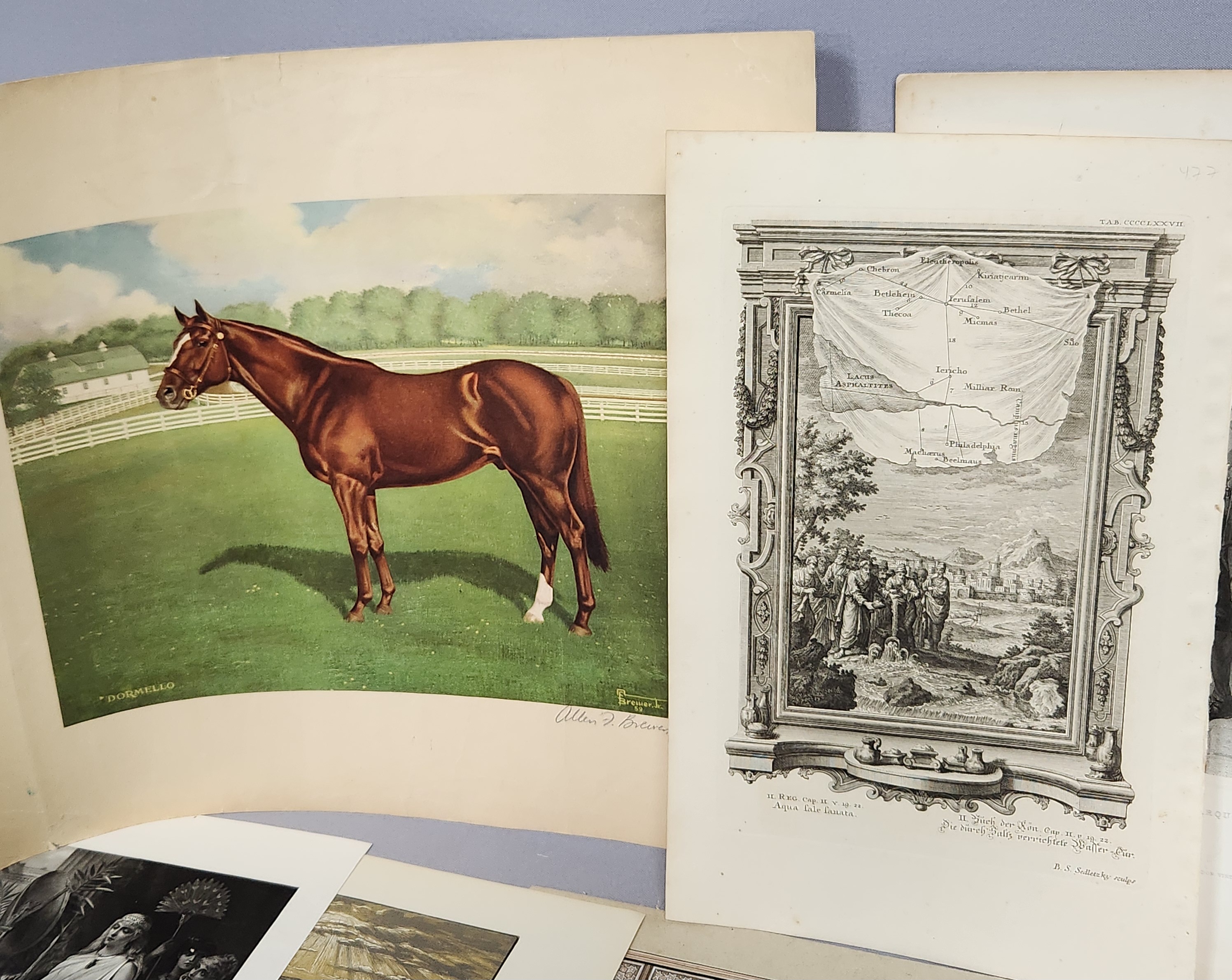 Assortment of Prints Photographs