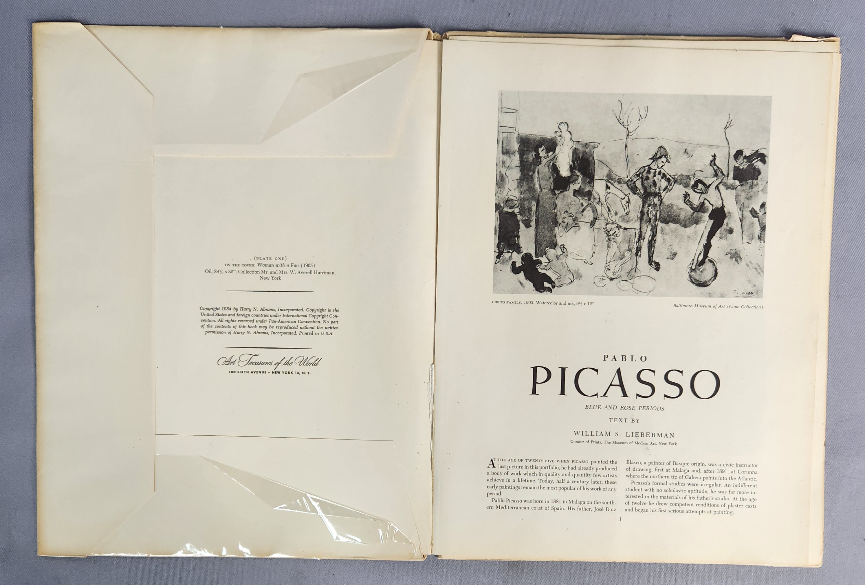 Art Treasures of the World Portfolios
