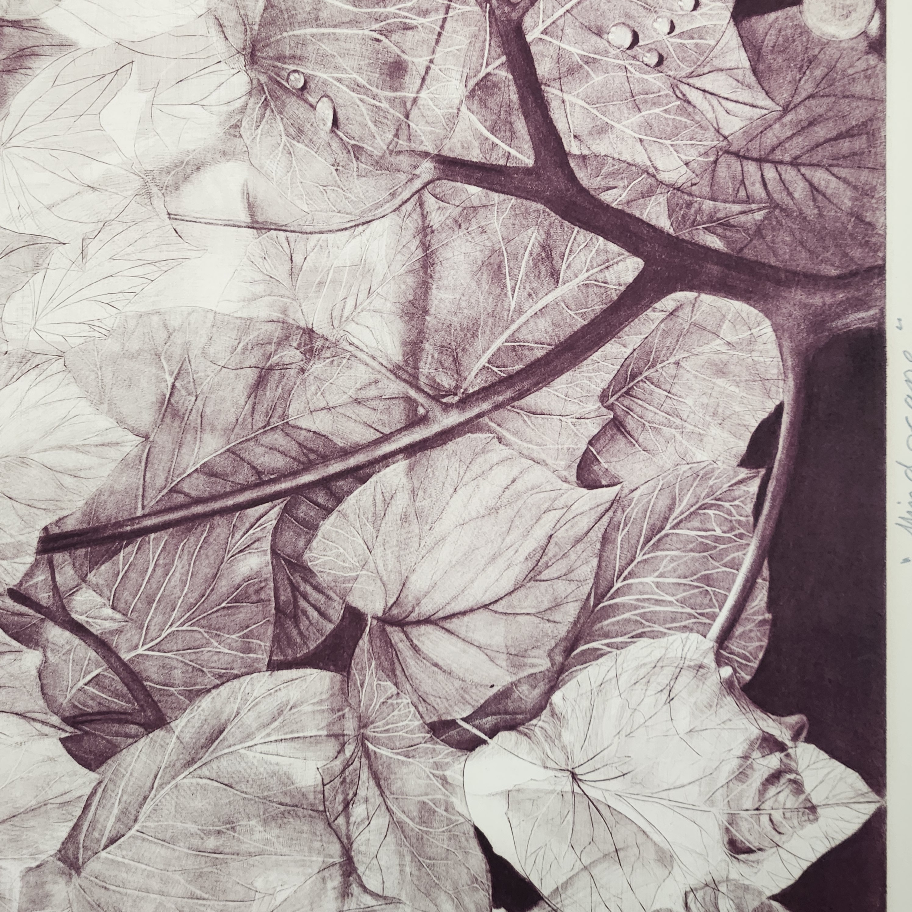 G.H. Rothe Mezzotint Print Mindscape