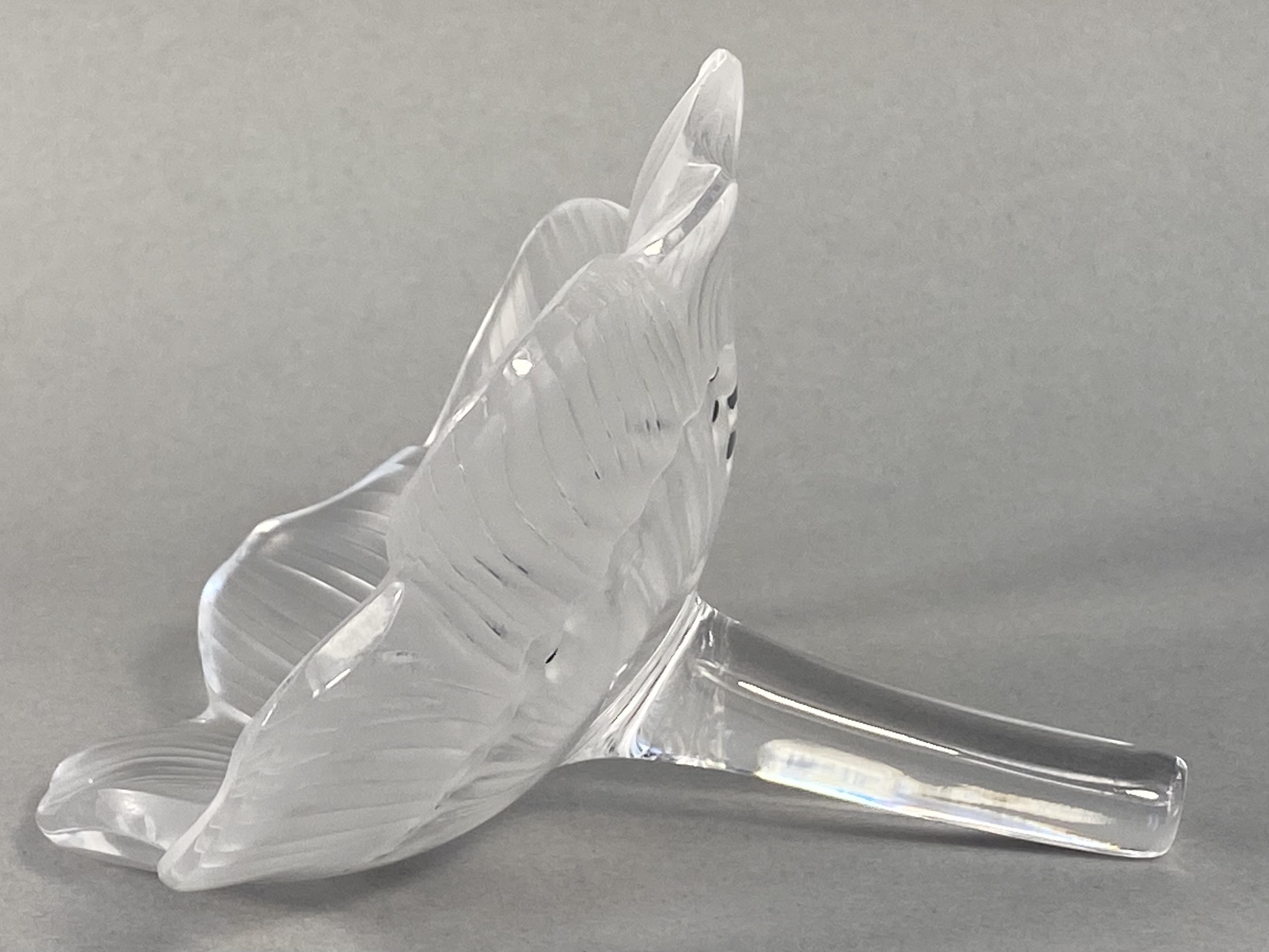Lalique France Frosted Crystal Anemone Flower