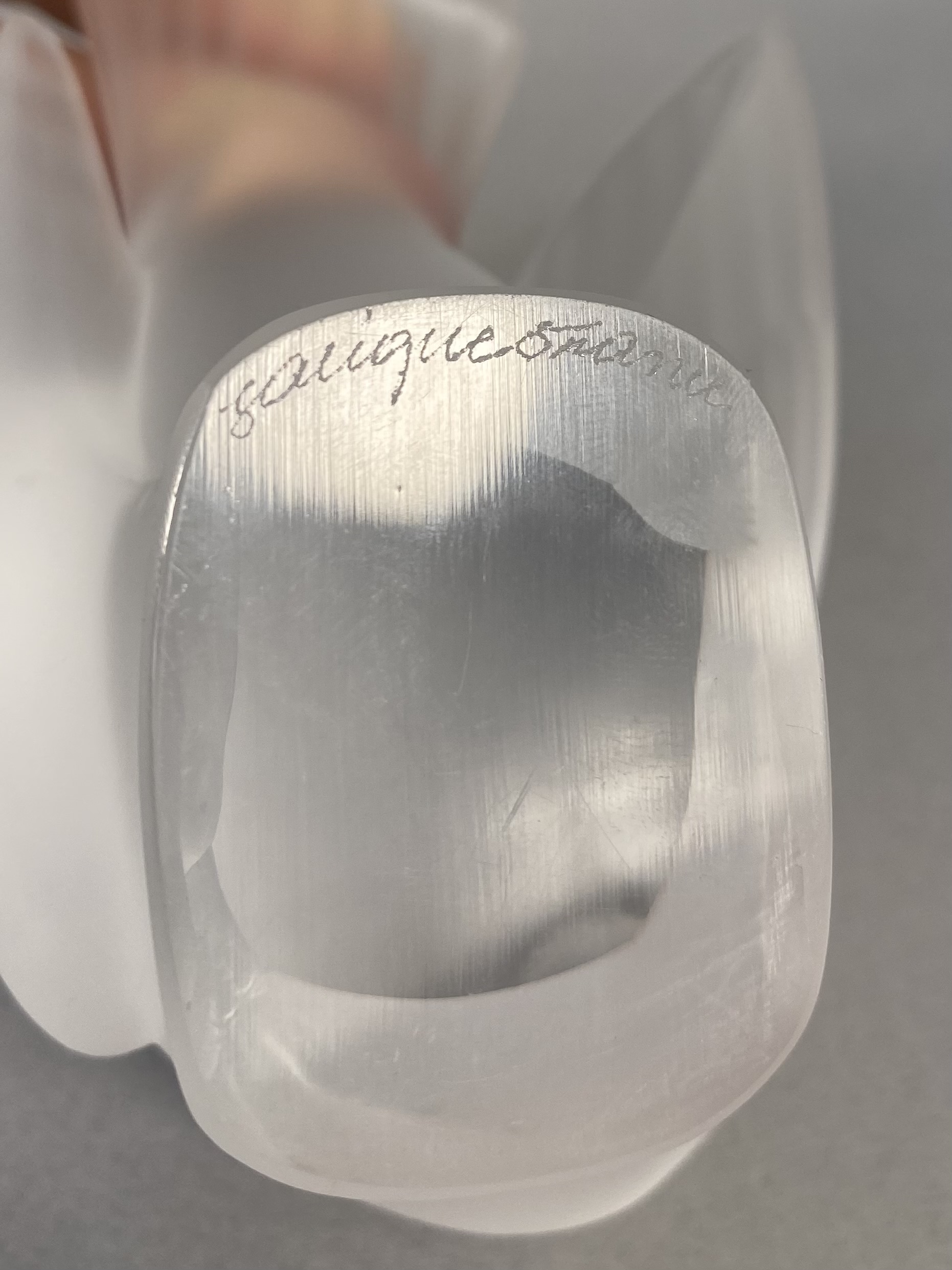Lalique France Frosted Crystal Moineau Coquet Sparrow