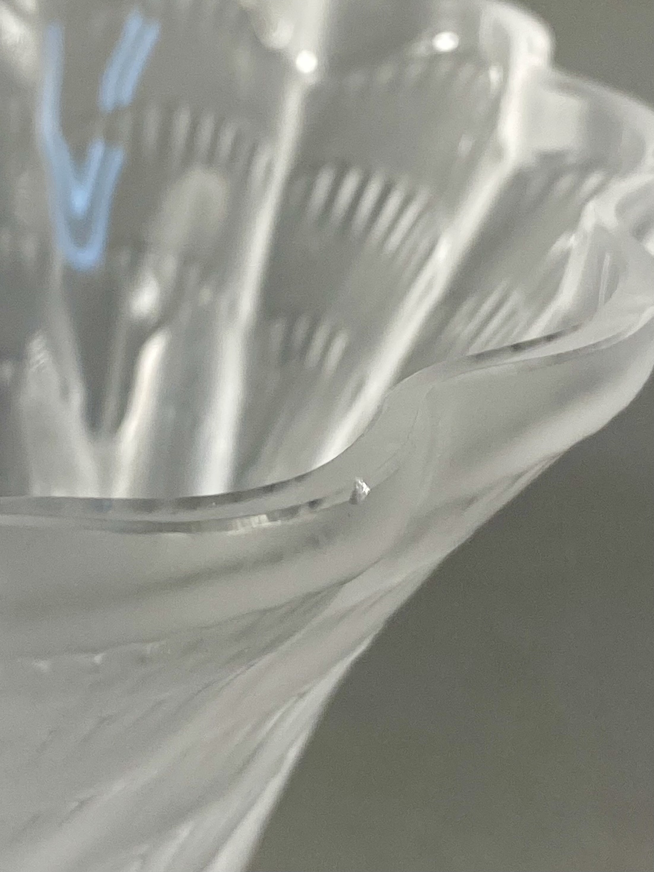 Lalique France Lucie Frosted & Clear Glass Vase