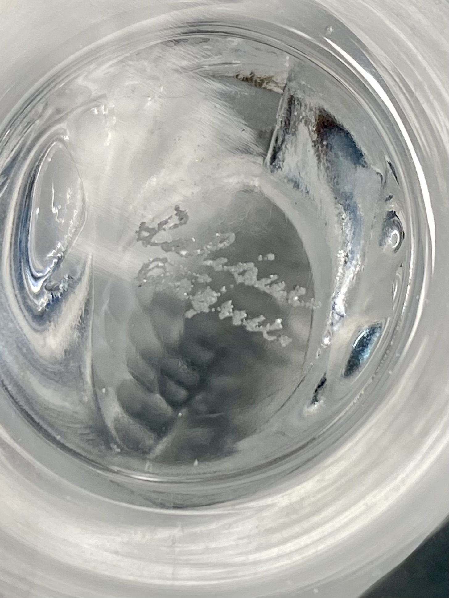 Lalique France Crystal Quail Perdrix Trinket Dish