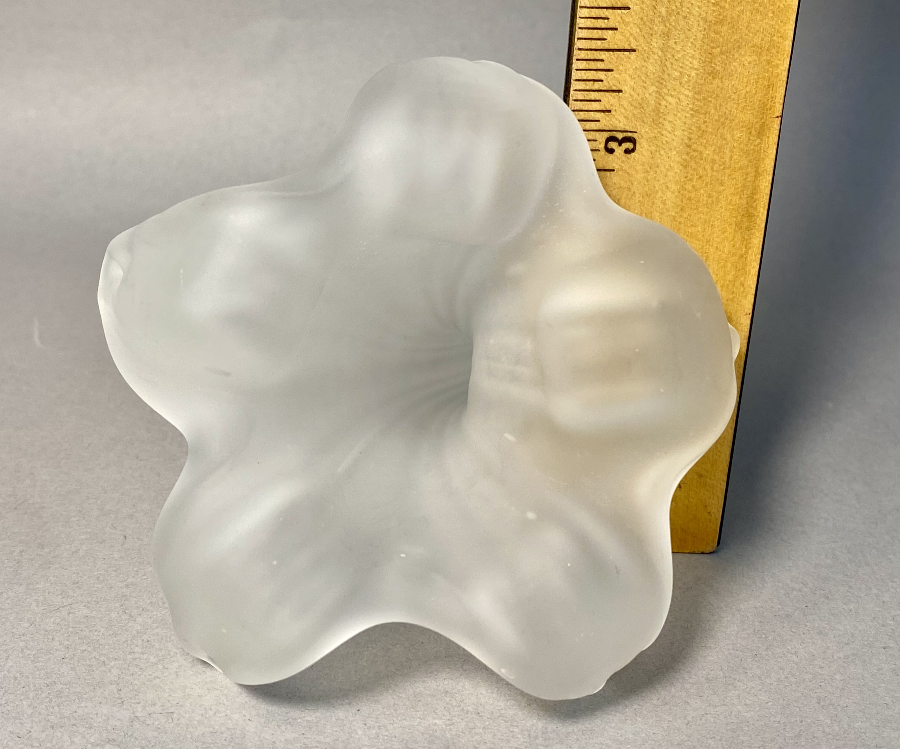 Frosted Glass Lily Flower Bud Vase