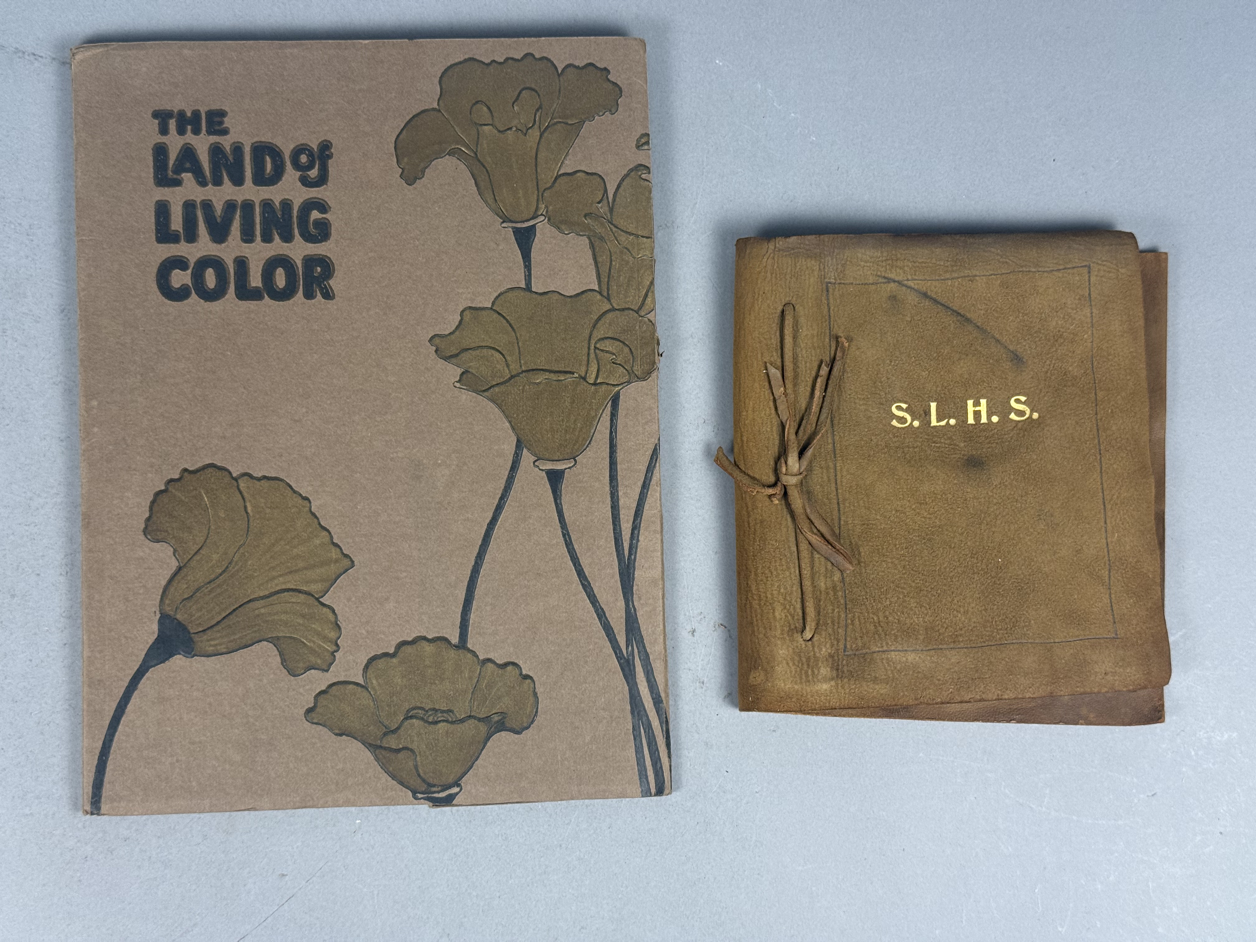 The Land of Living Color 1915 w Antique Photos