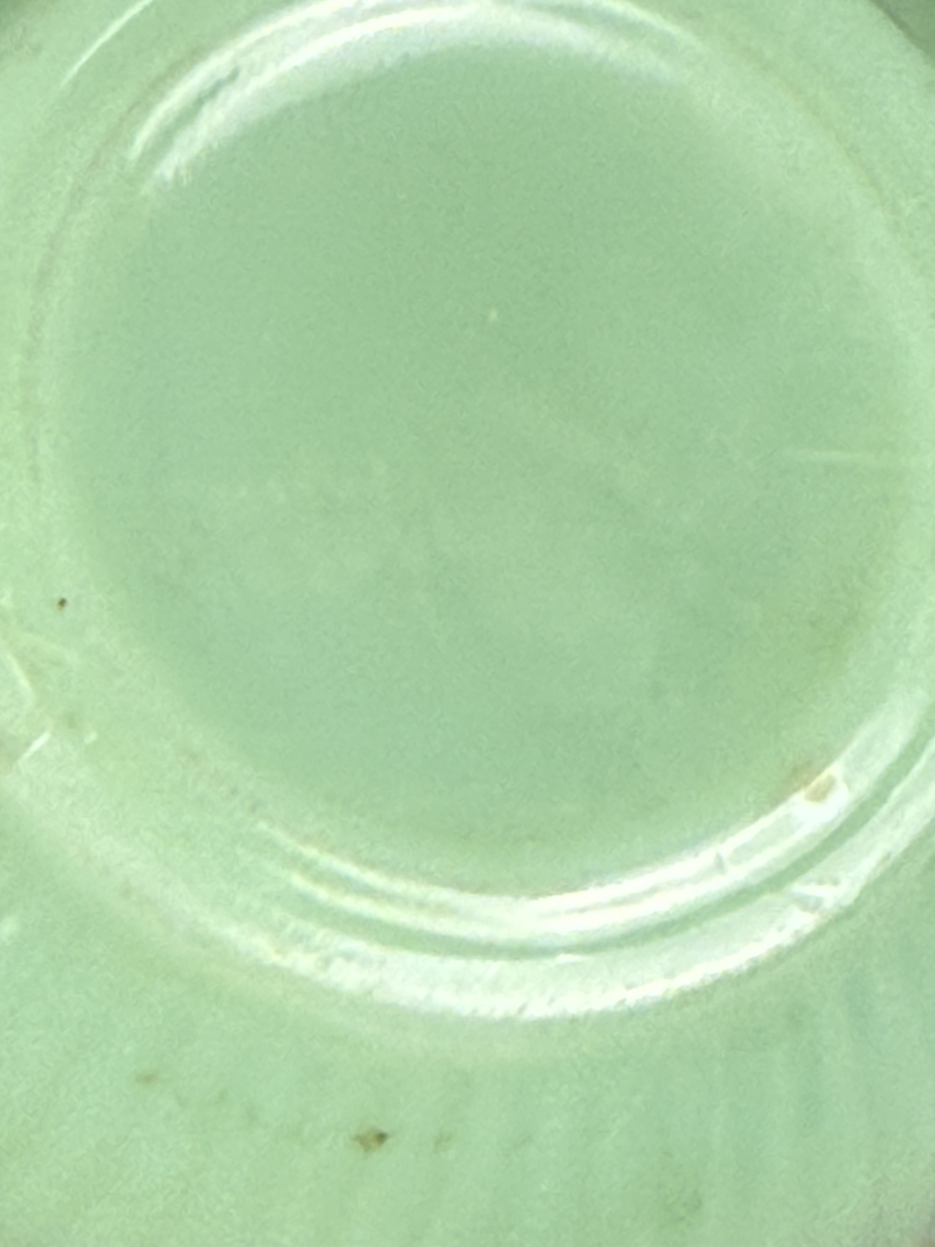 Fire-King Jane Ray Jadeite Glass Tableware