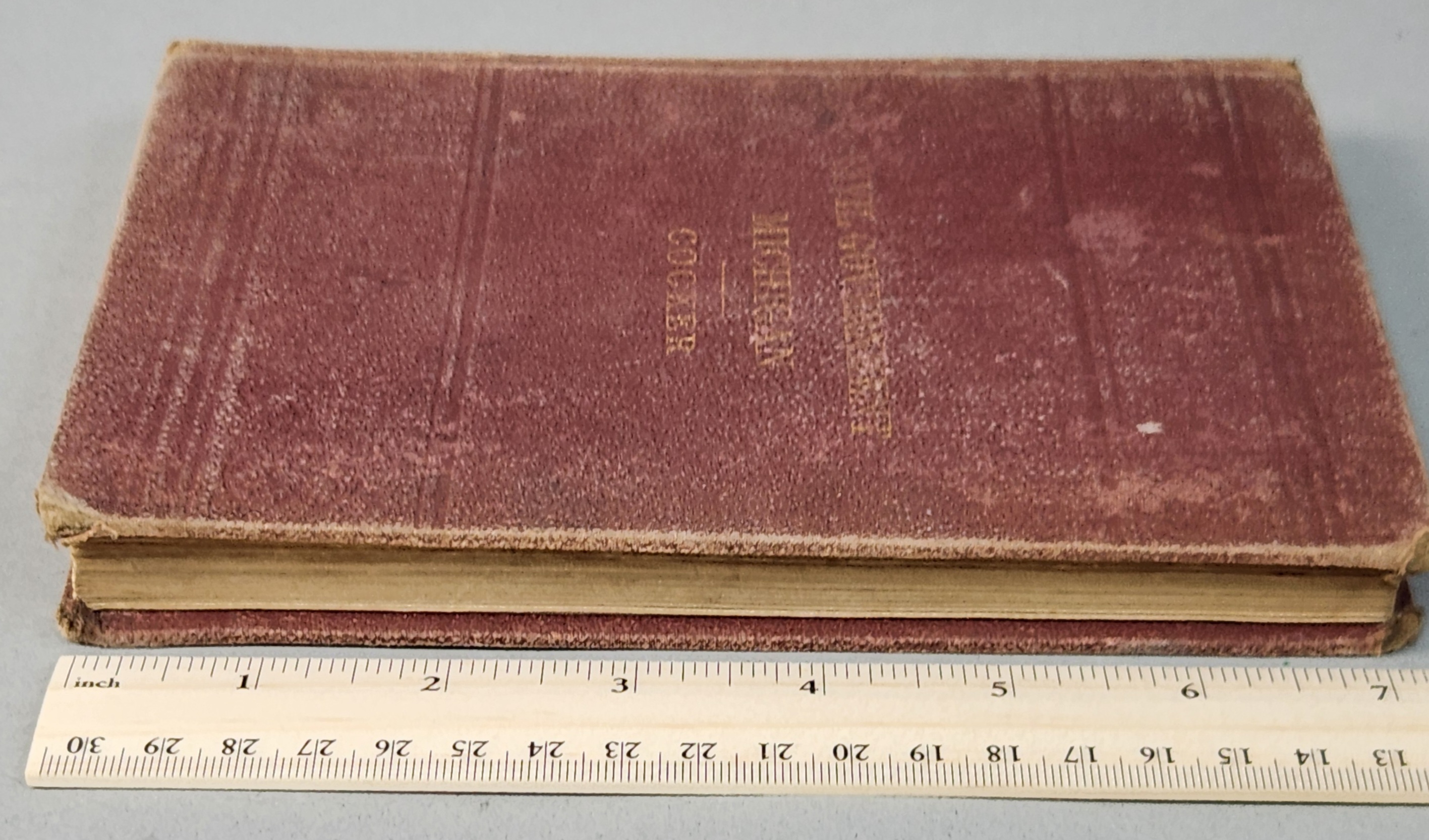 1887 The Civil Government of Michigan
