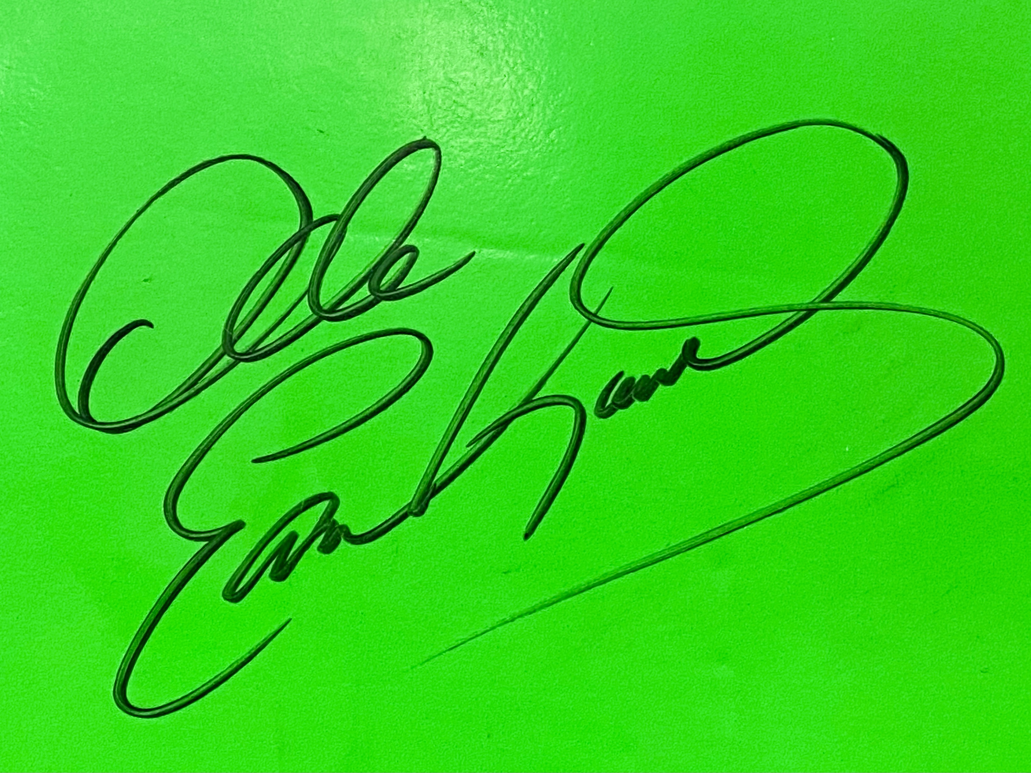 Autographed Dale Earnhardt Sr. Stadium Seat Cushion