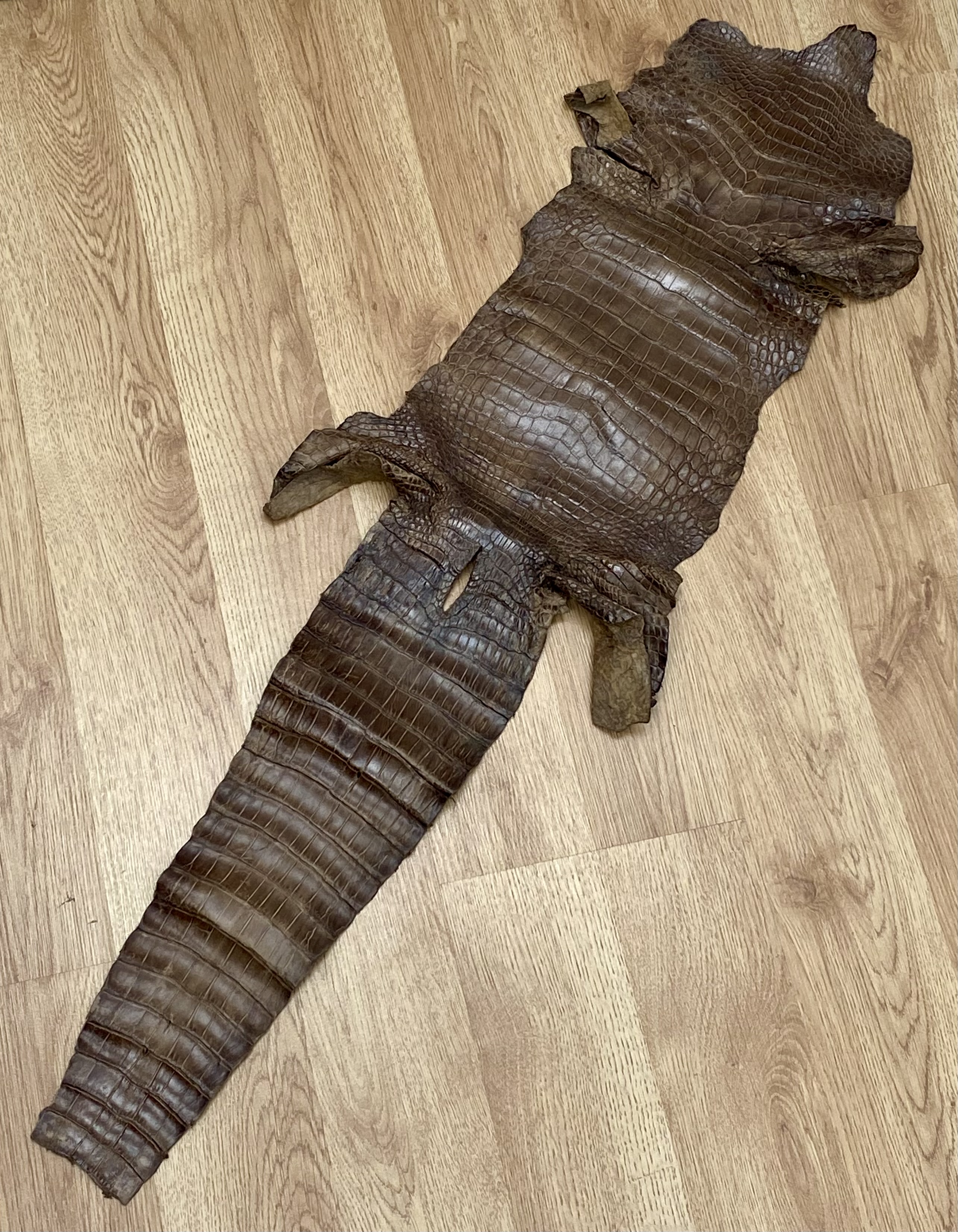 A Tanned Crocodile or Alligator Leather Hide
