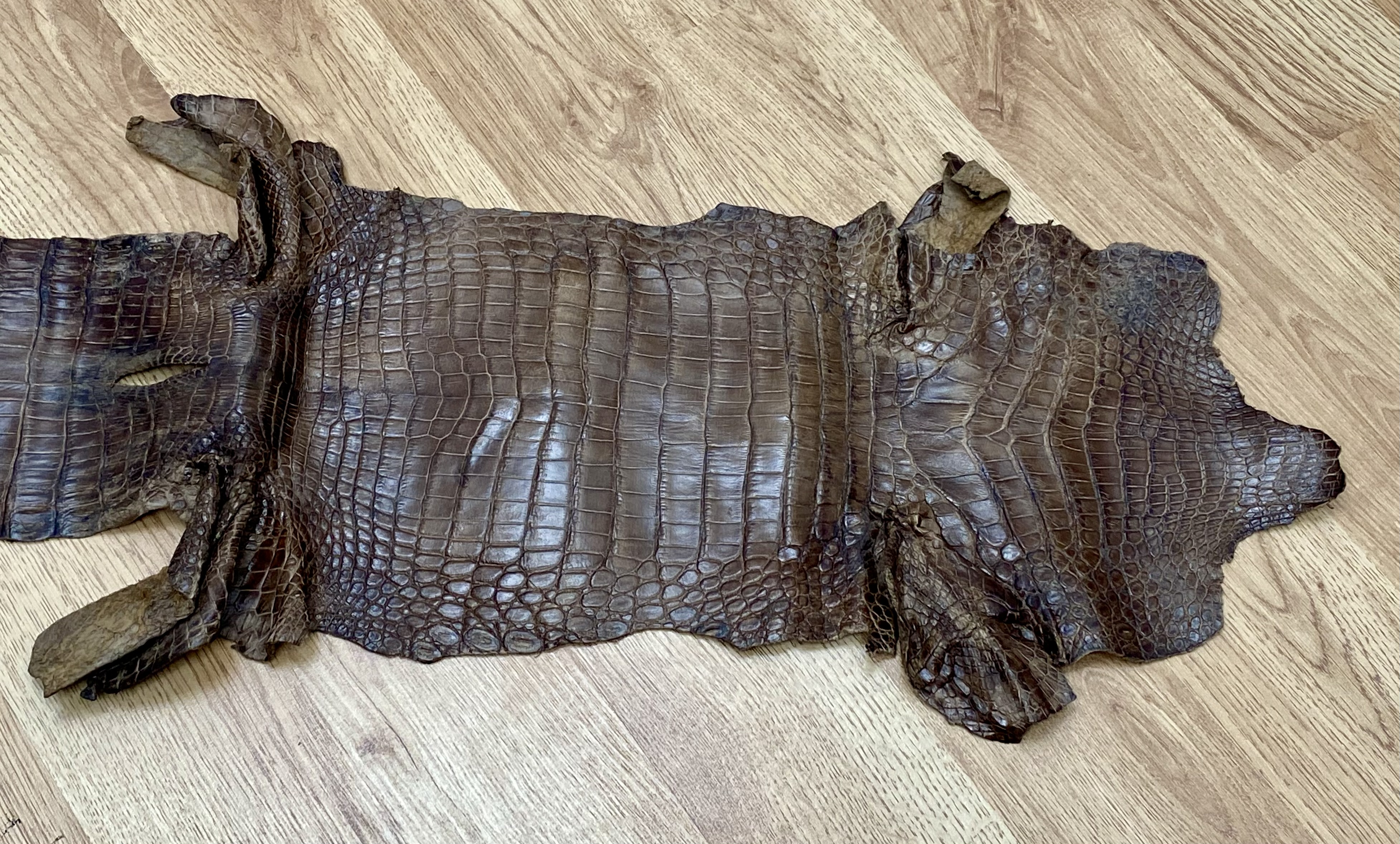 A Tanned Crocodile or Alligator Leather Hide