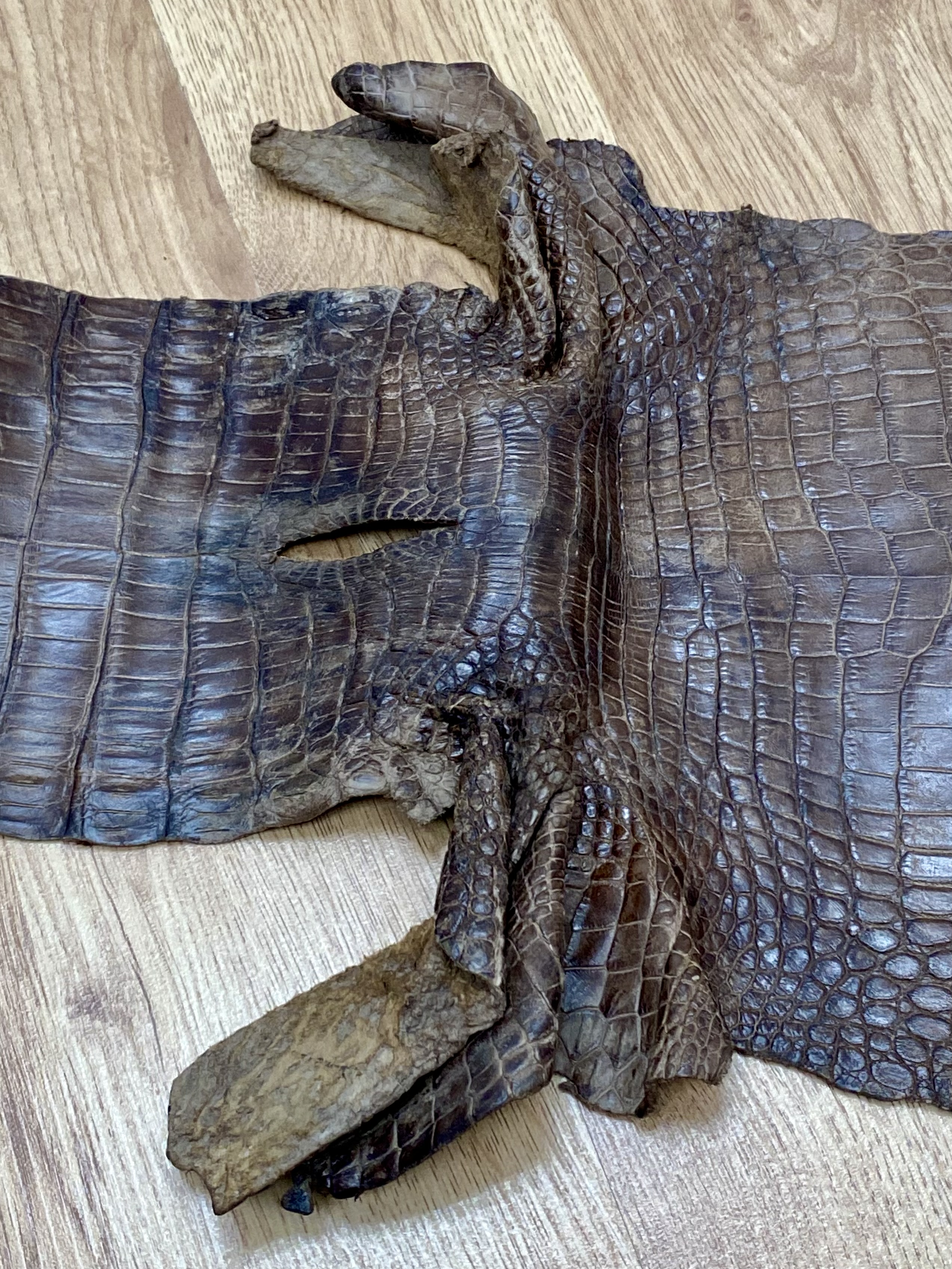 A Tanned Crocodile or Alligator Leather Hide
