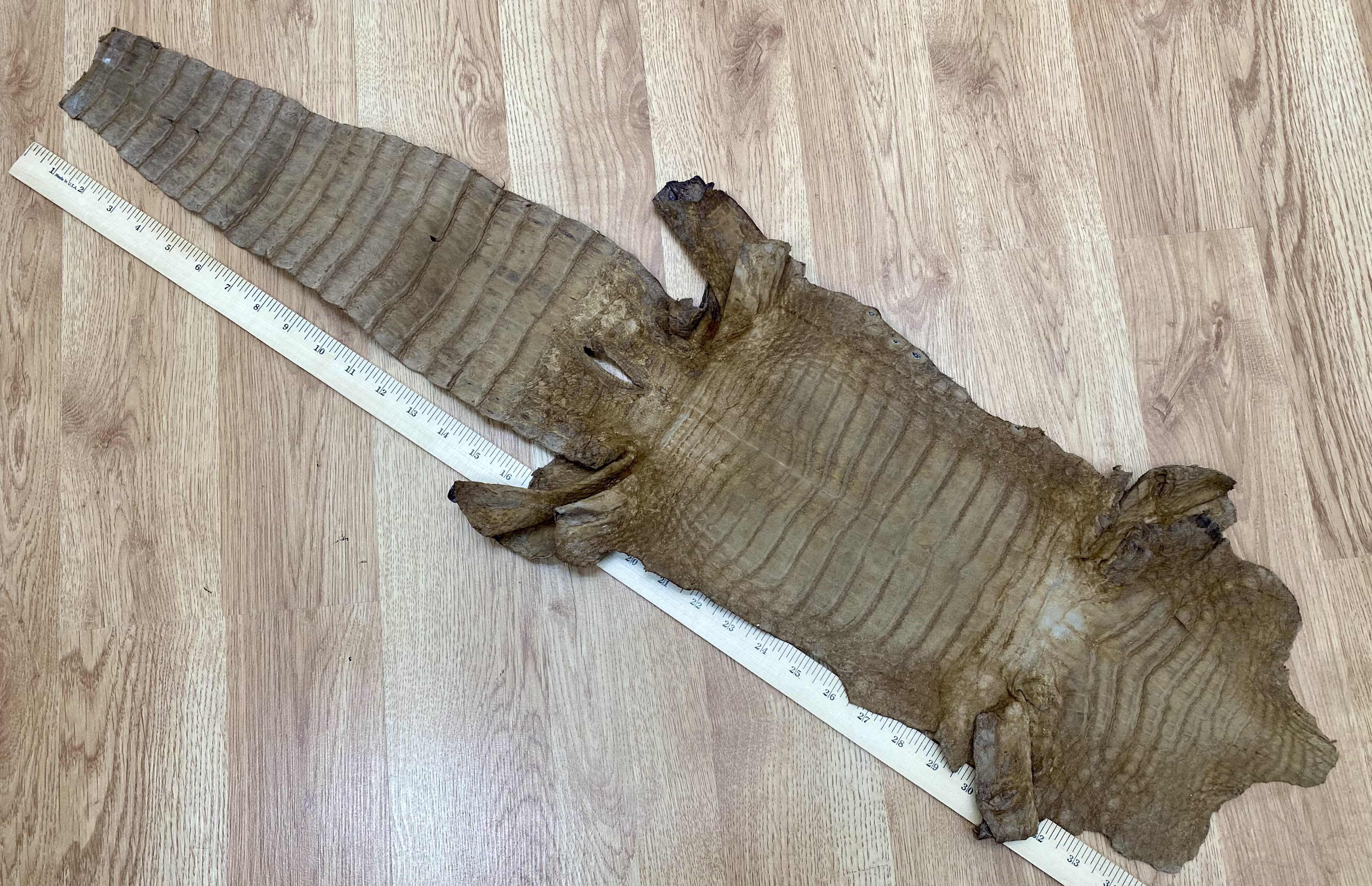 A Tanned Crocodile or Alligator Leather Hide