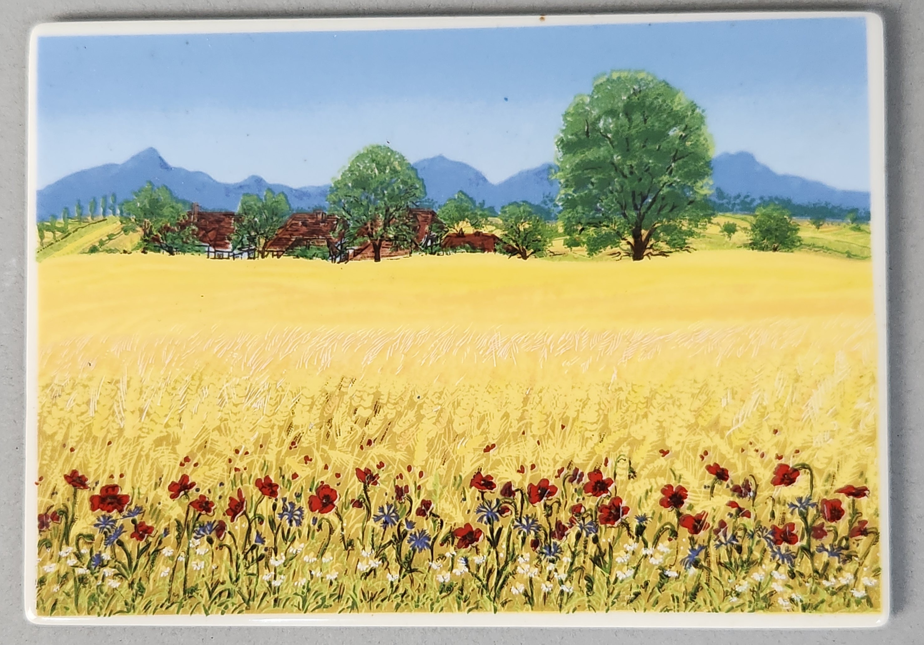 Villeroy & Boch VilboCard Wall Plaques