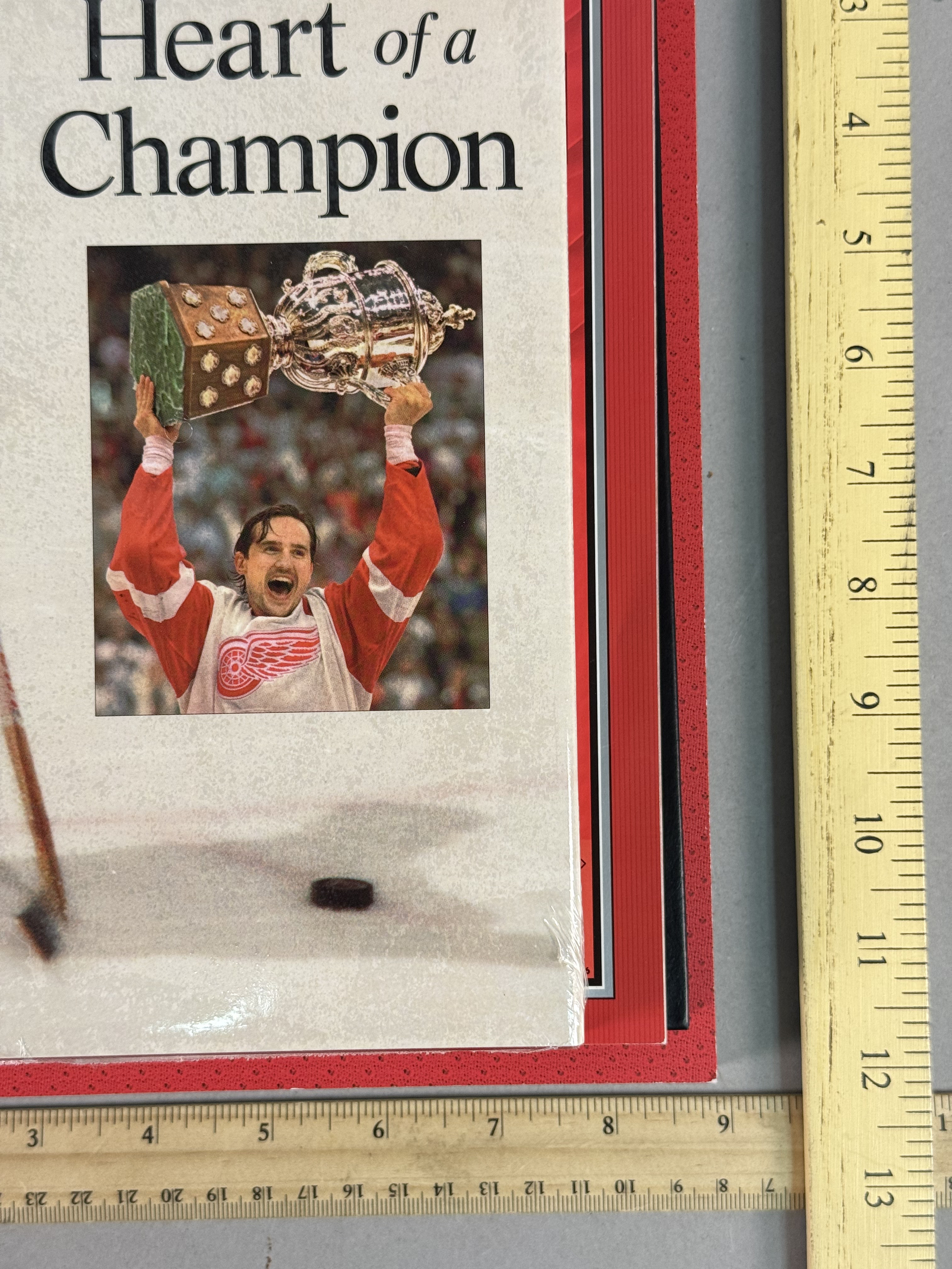 Steve Yzerman Detroit Red Wings Publications