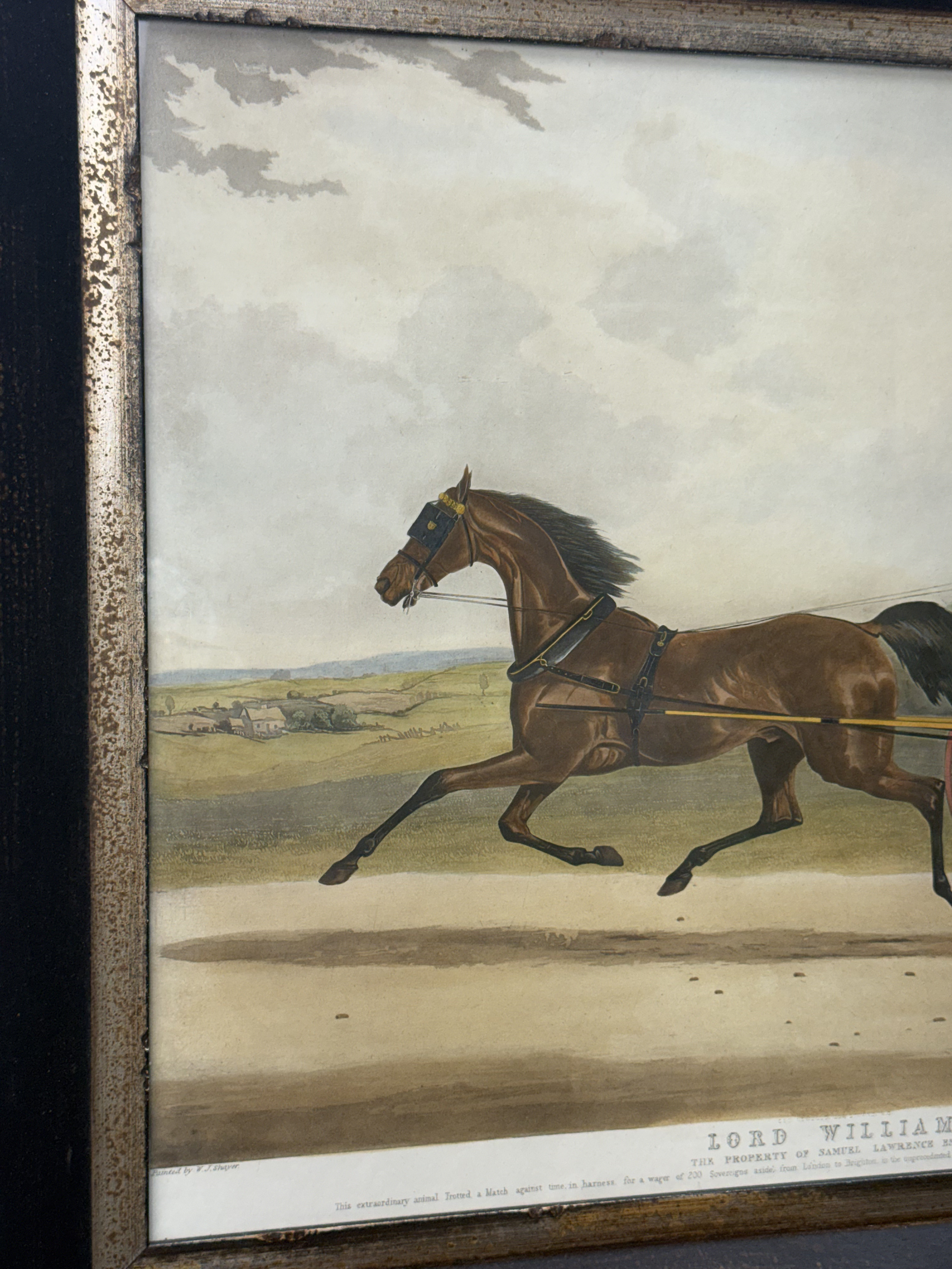 Lord William Hand-Colored Engraving