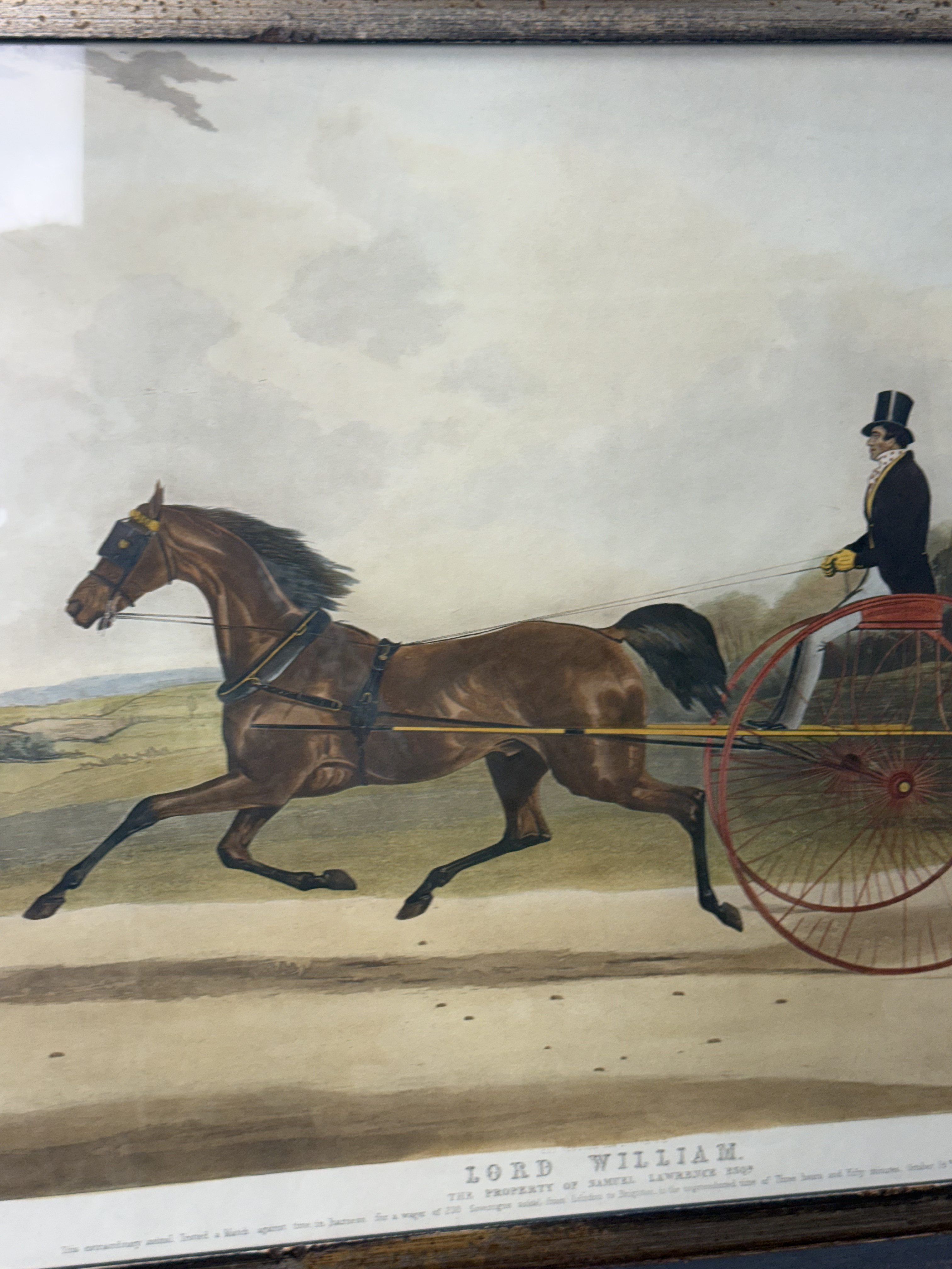 Lord William Hand-Colored Engraving