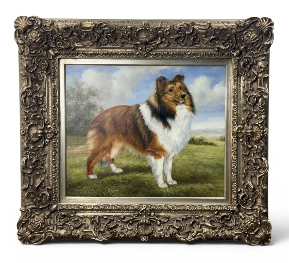 Caton Shetland Sheepdog Oil on Canvas