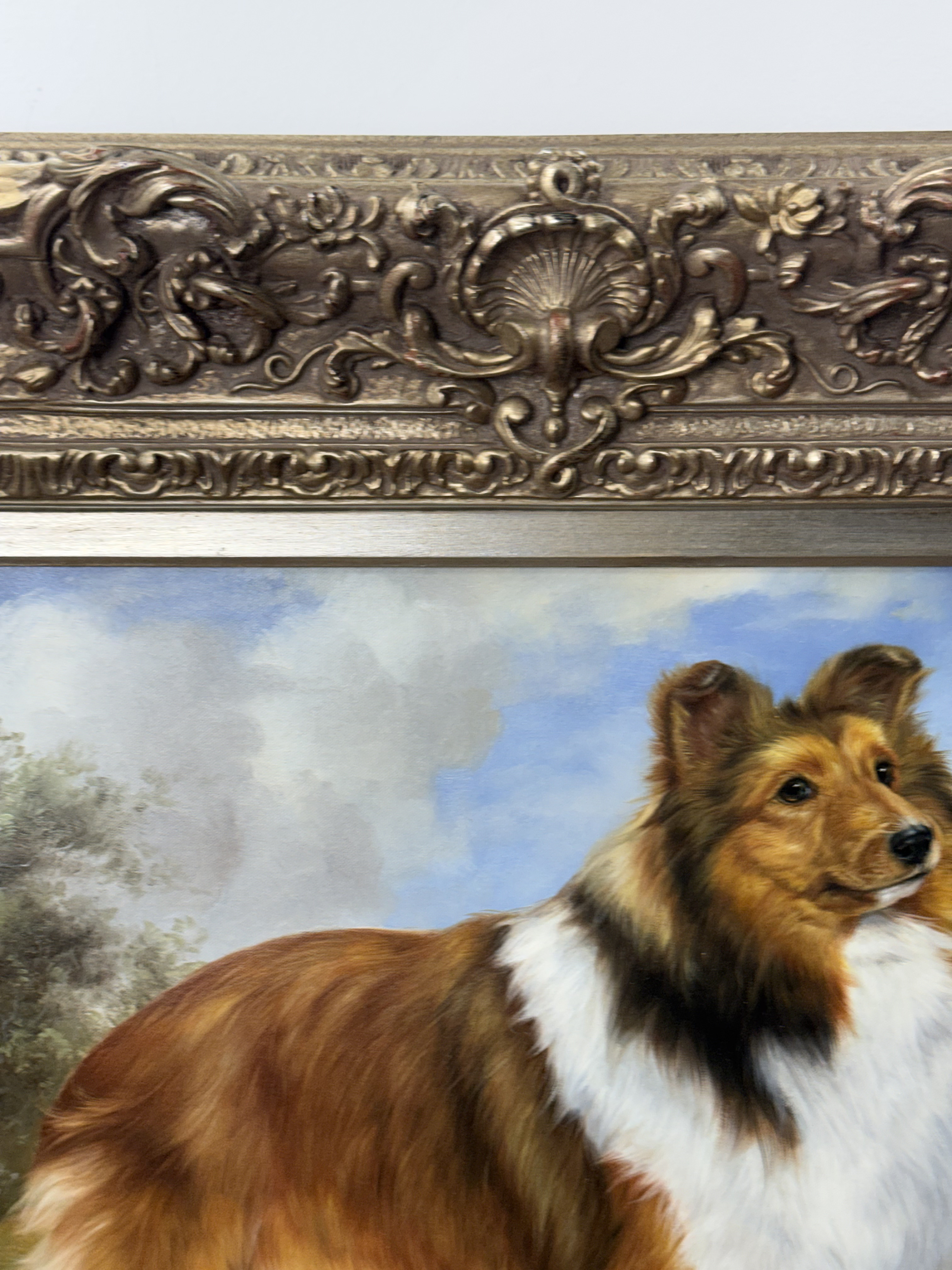 Caton Shetland Sheepdog Oil on Canvas