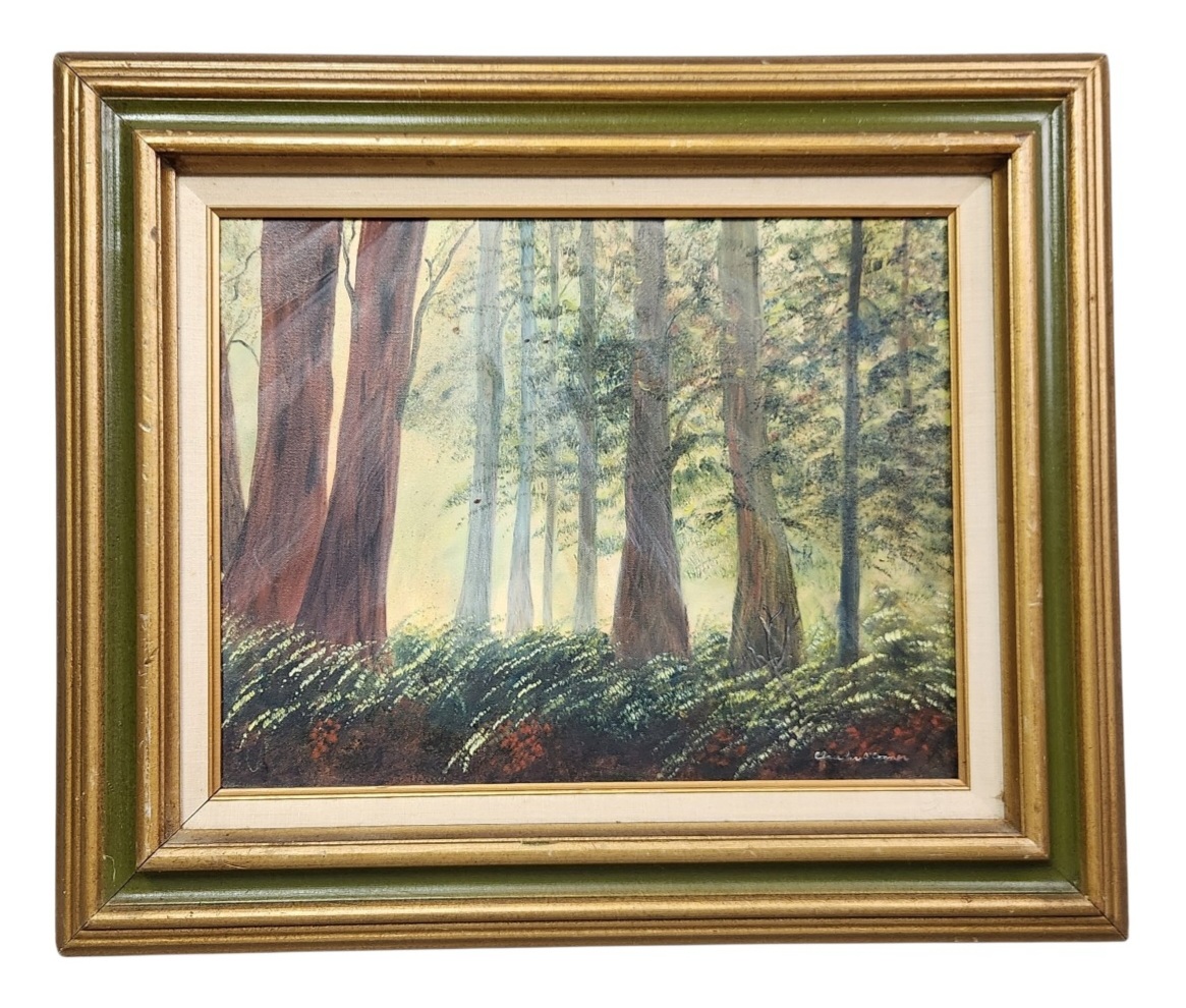 Claudia O'Conner Redwood Forest