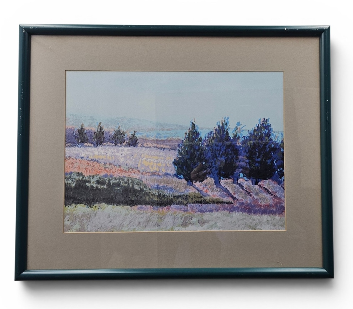 Framed Landscape Print