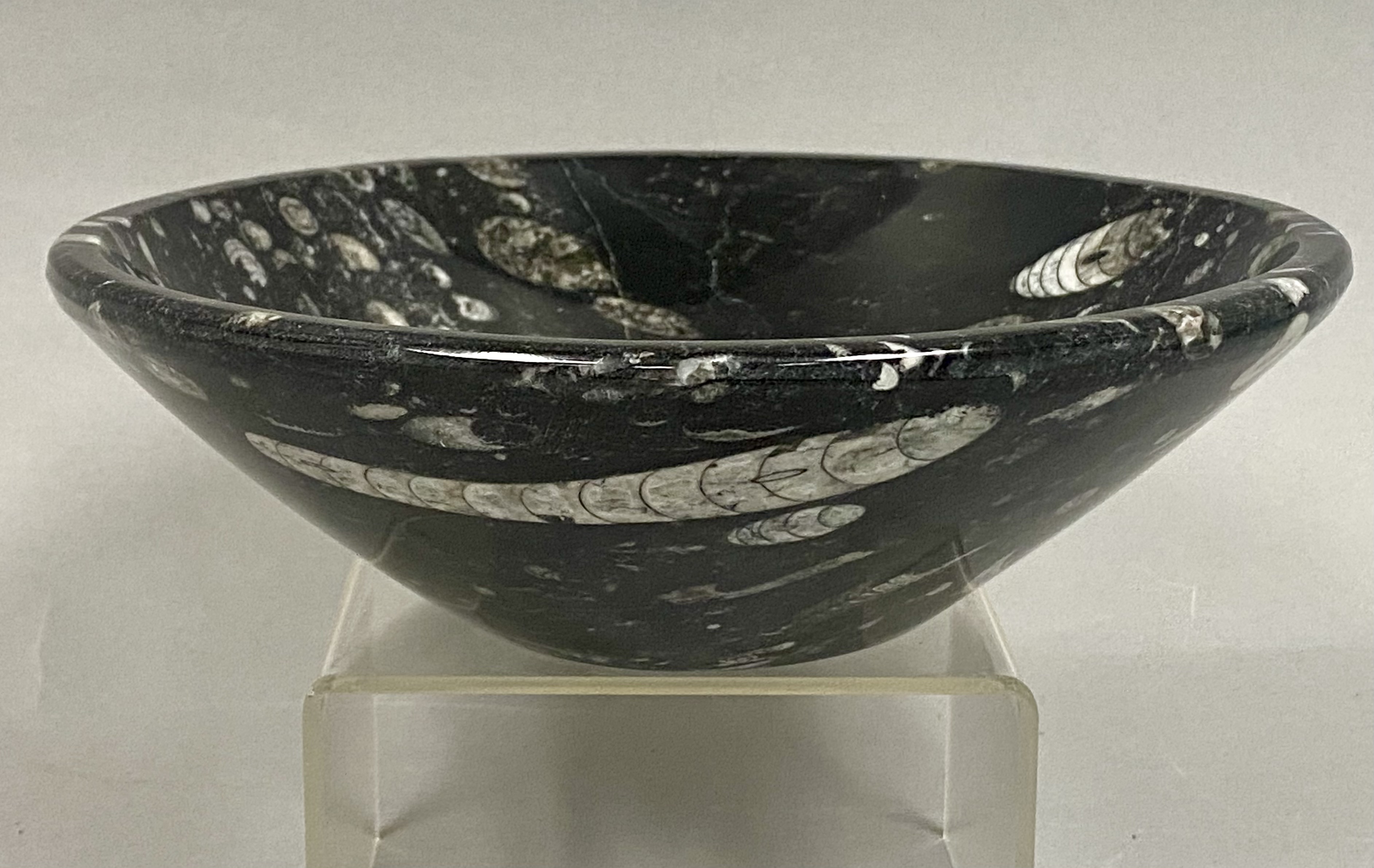 Vintage 8" Orthoceras Fossil Stone Bowl