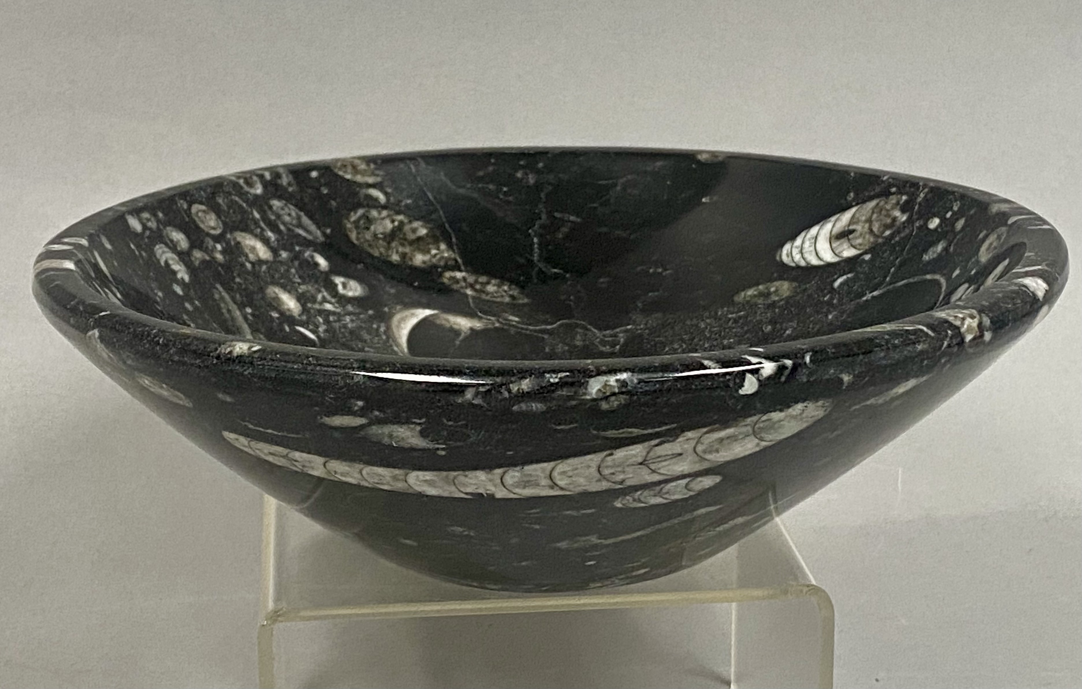 Vintage 8" Orthoceras Fossil Stone Bowl