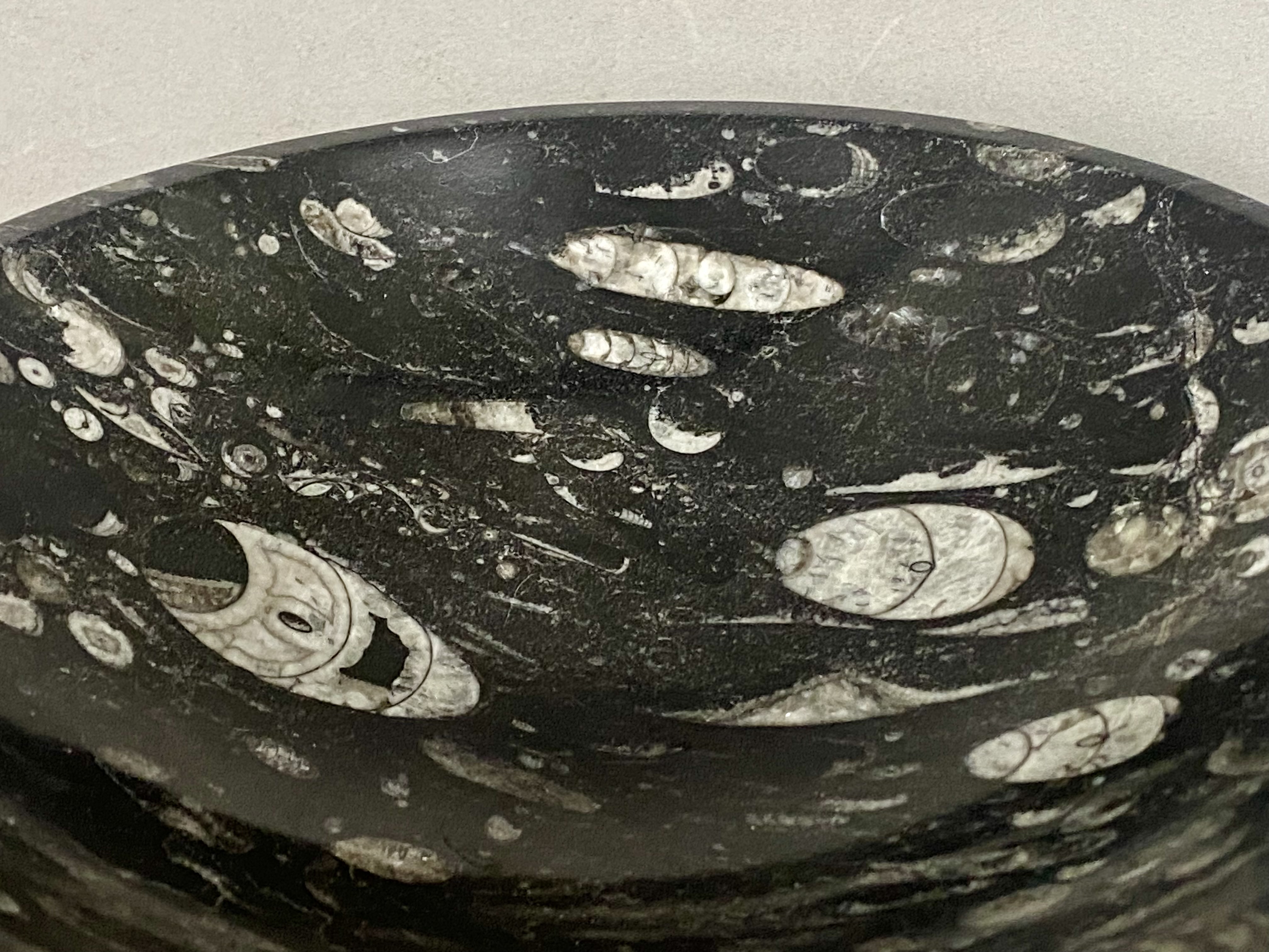 Vintage 8" Orthoceras Fossil Stone Bowl