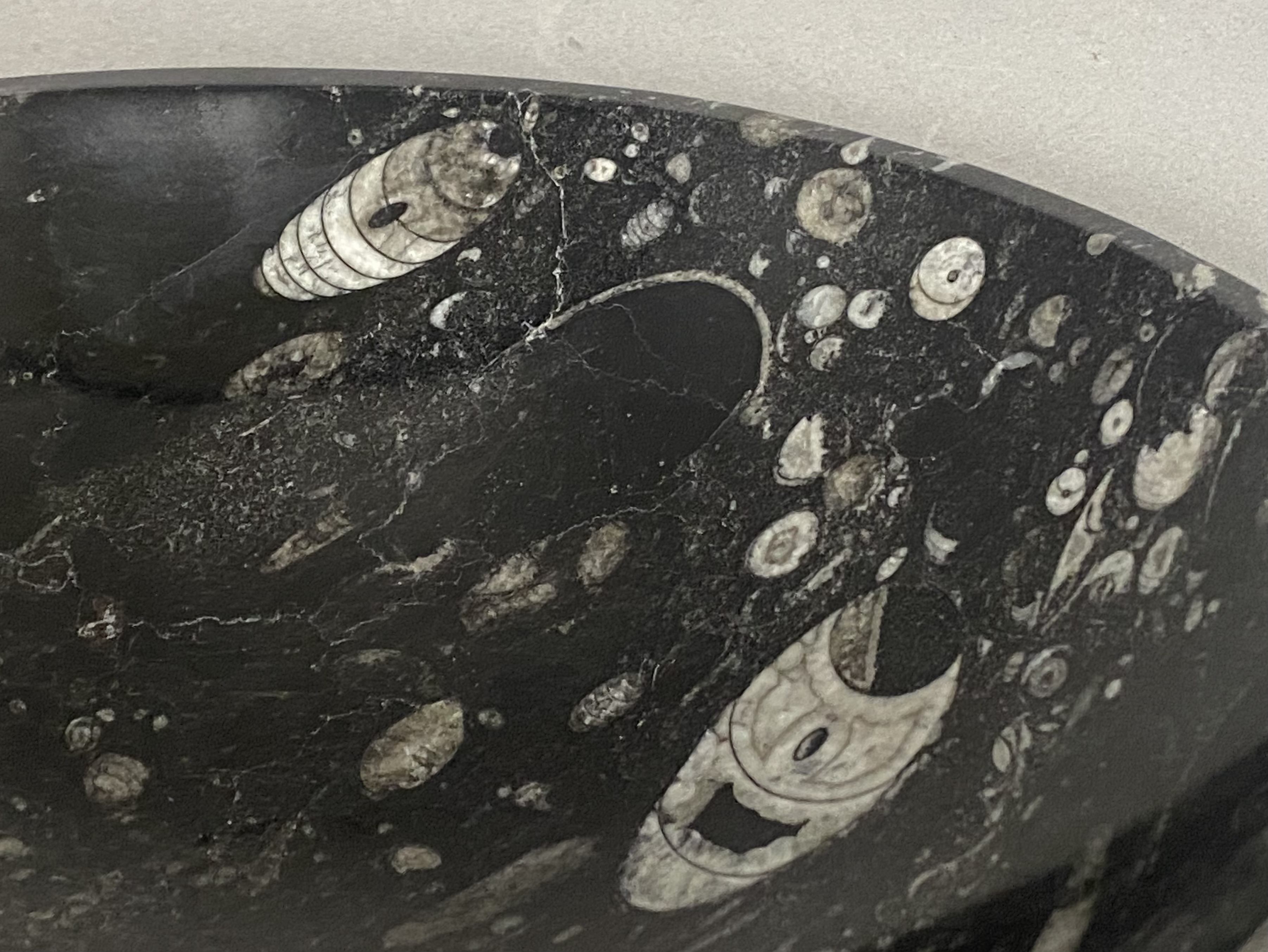 Vintage 8" Orthoceras Fossil Stone Bowl