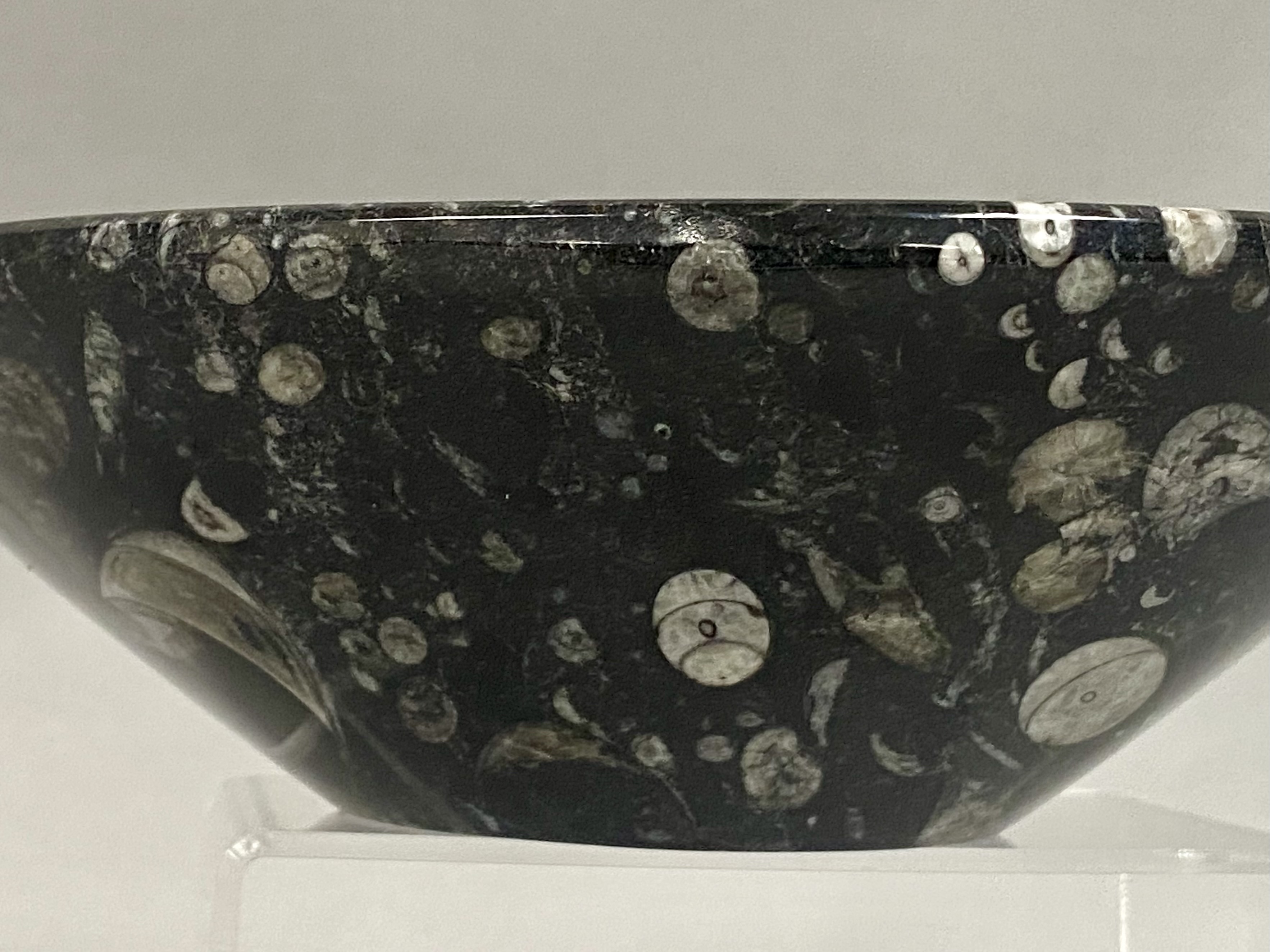 Vintage 8" Orthoceras Fossil Stone Bowl