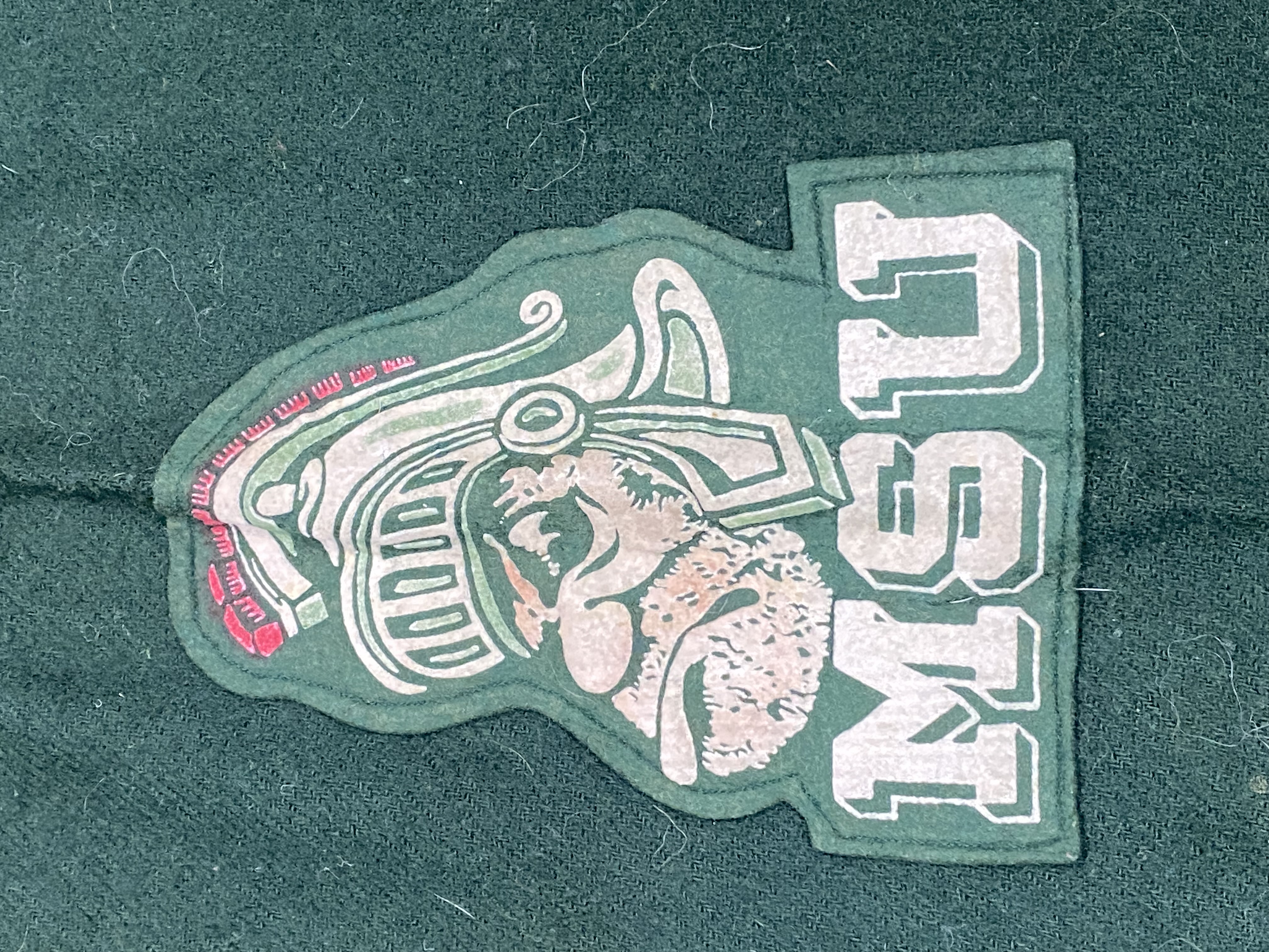 Pendleton Michigan State University Blanket