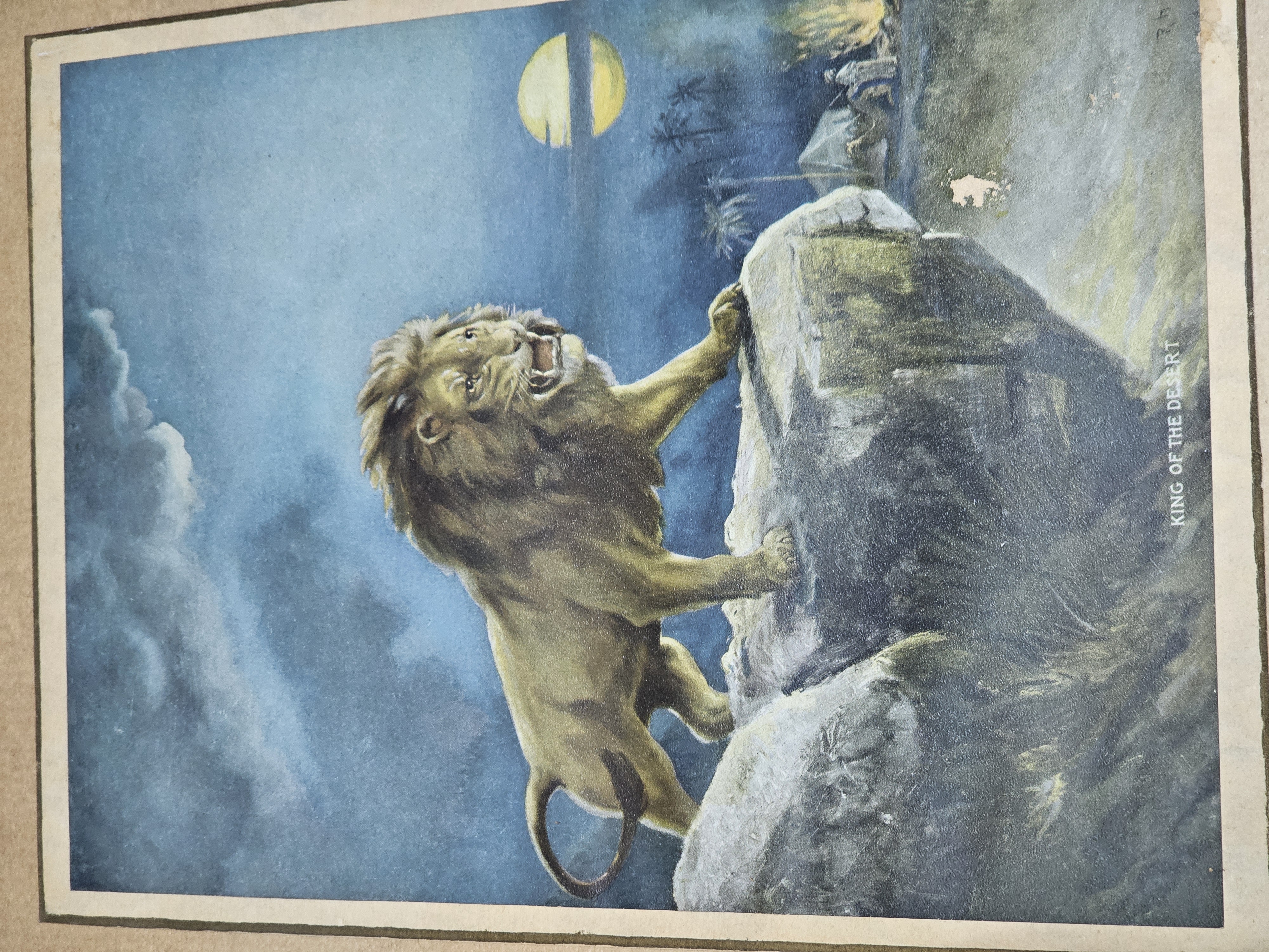Framed Vintage King of the Desert Print