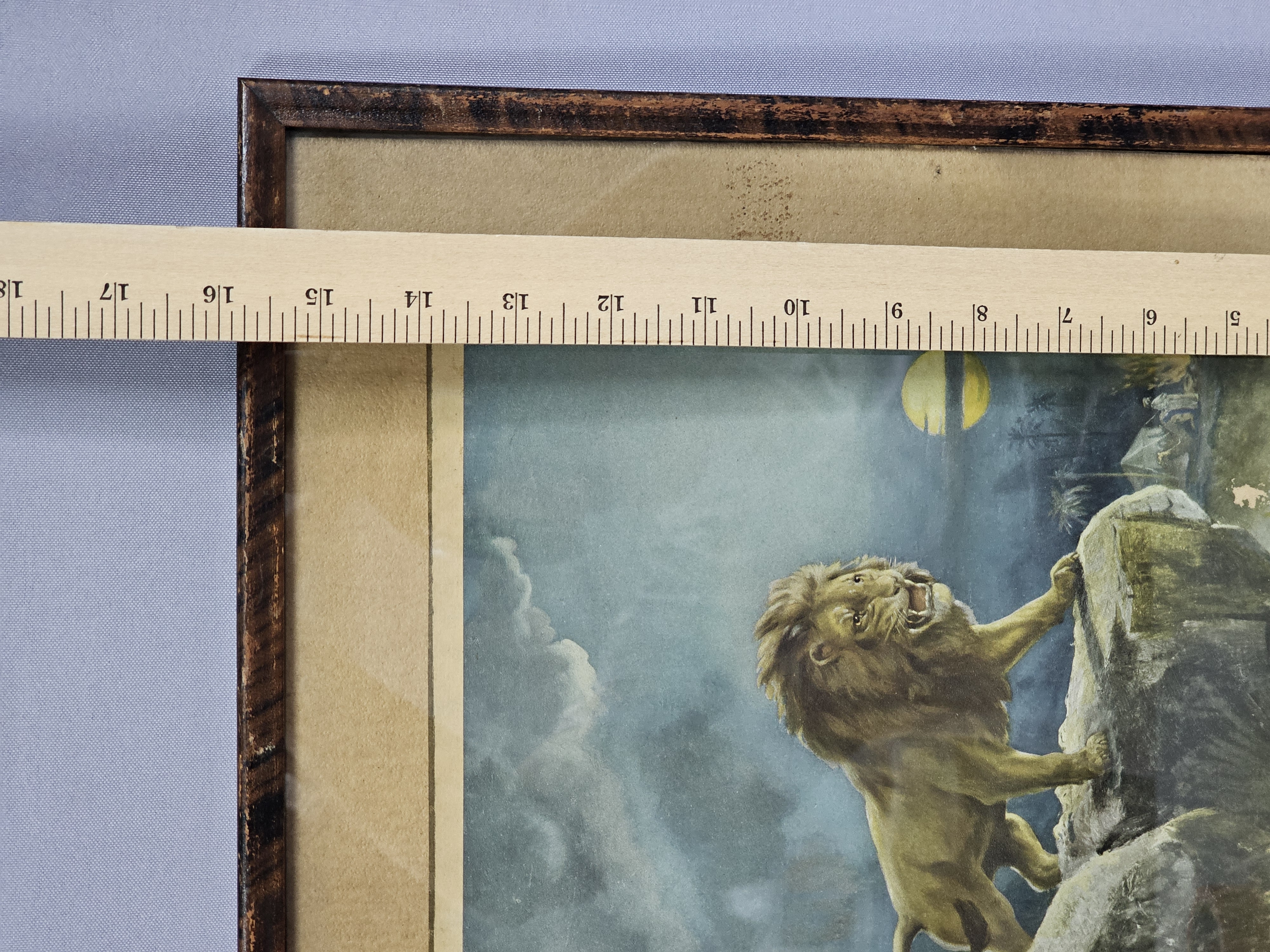 Framed Vintage King of the Desert Print