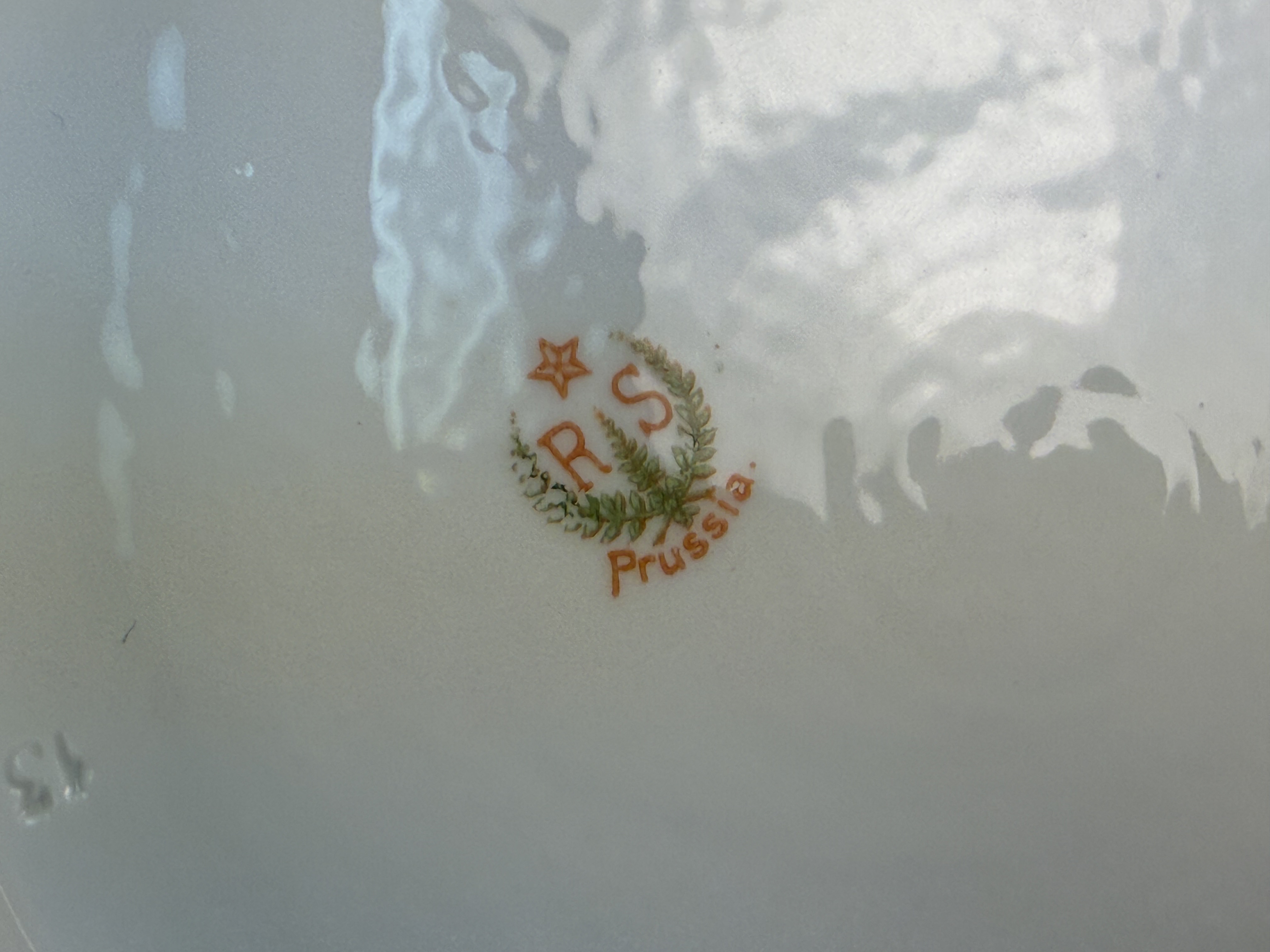 R.S. Prussia Floral Porcelain Bowl