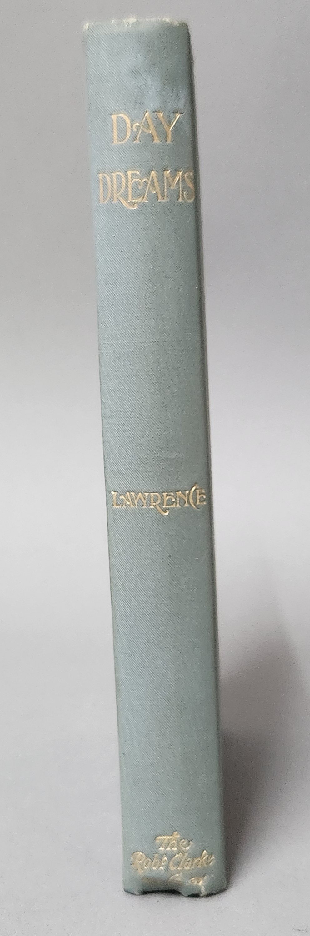 1900 1st Edition Day Dreams