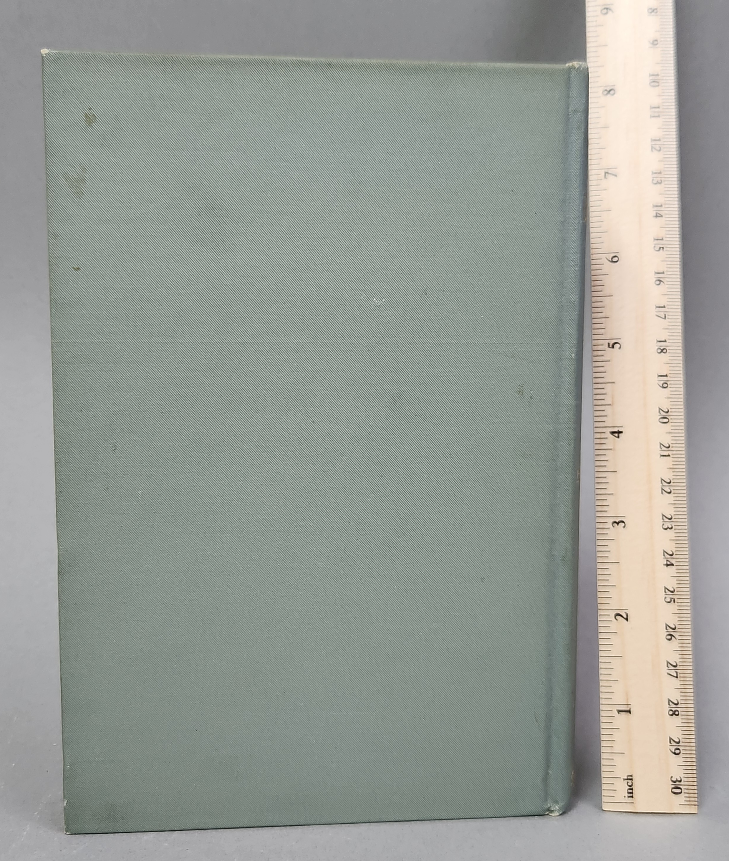 1900 1st Edition Day Dreams