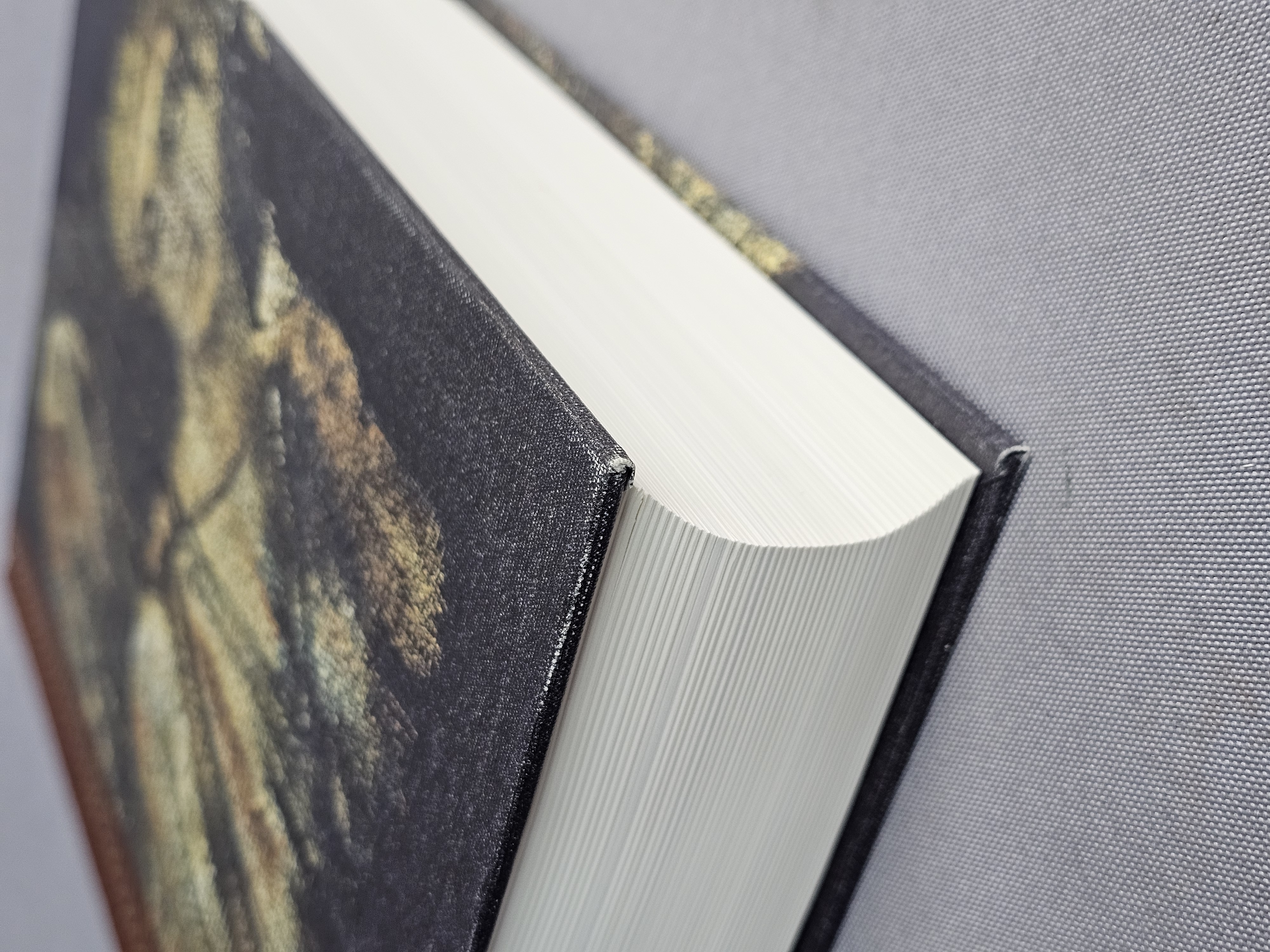 Meyer Gnostic Gospels Folio Society