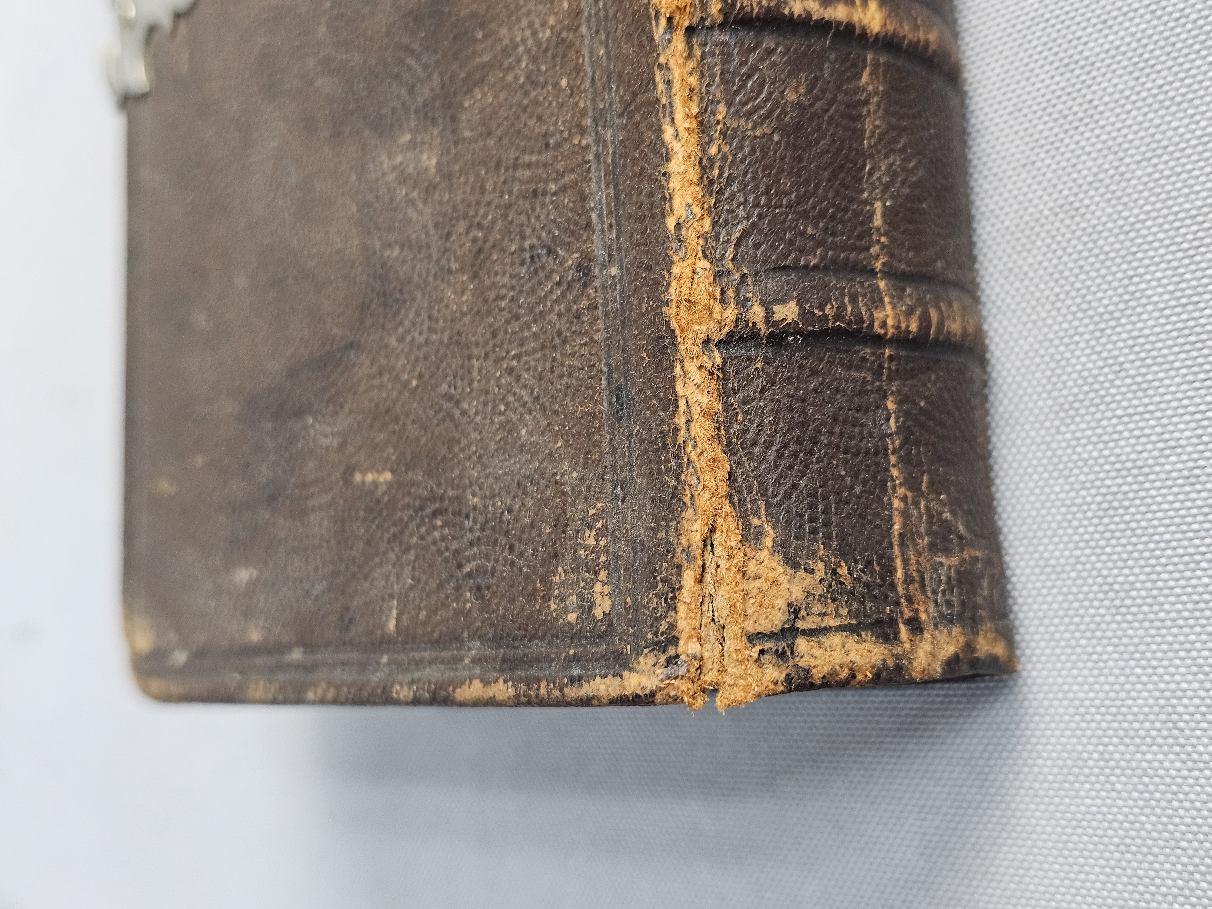 Dutch New Testament Bijbel-Compagnie 1885