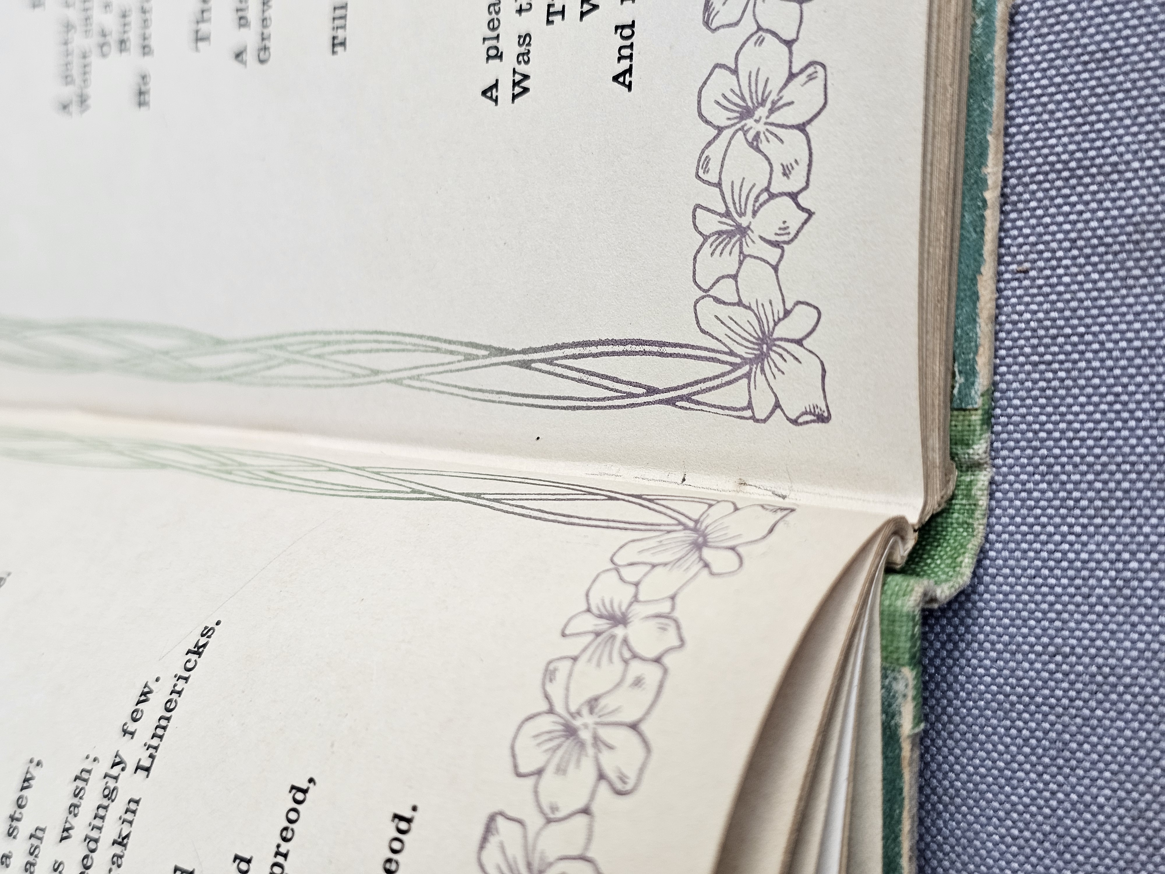 Pair of Limerick Books