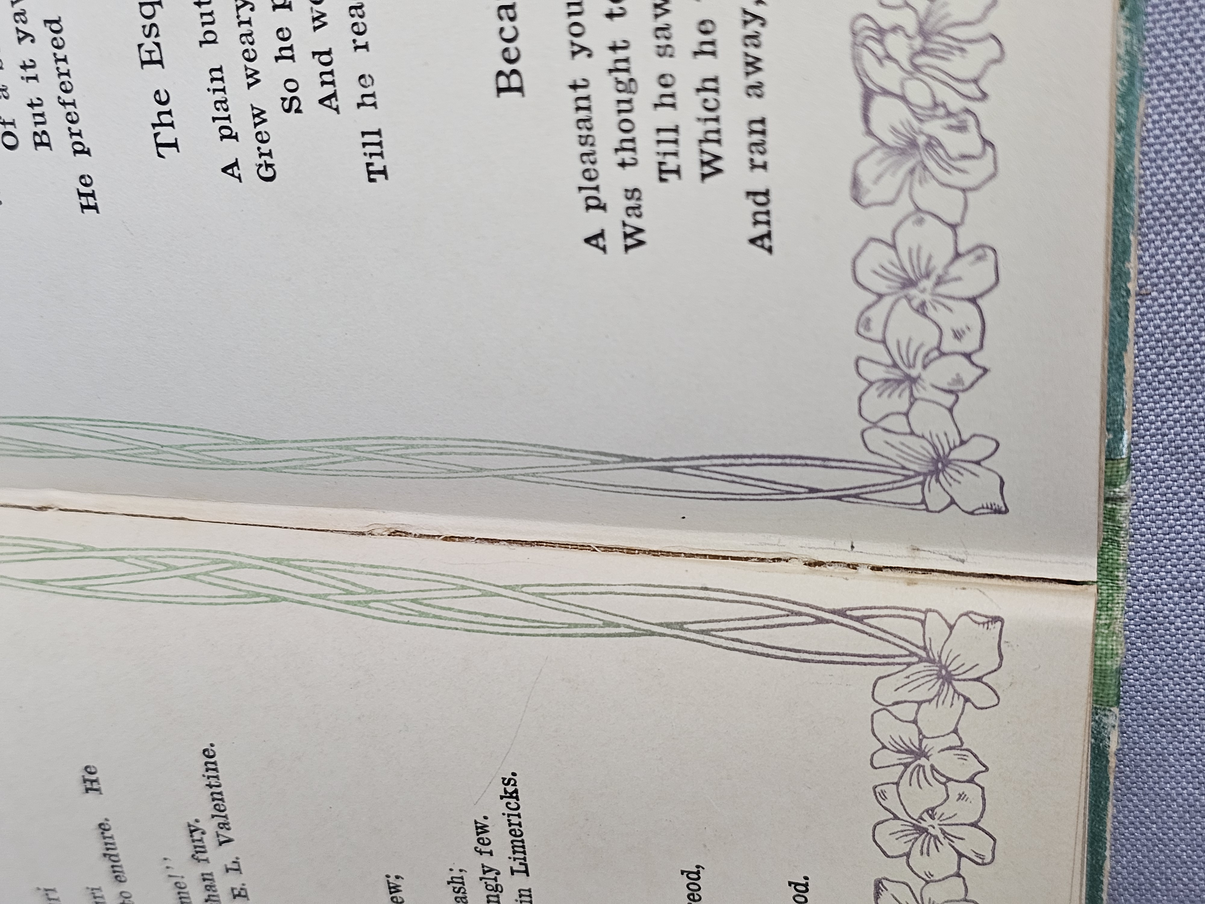Pair of Limerick Books