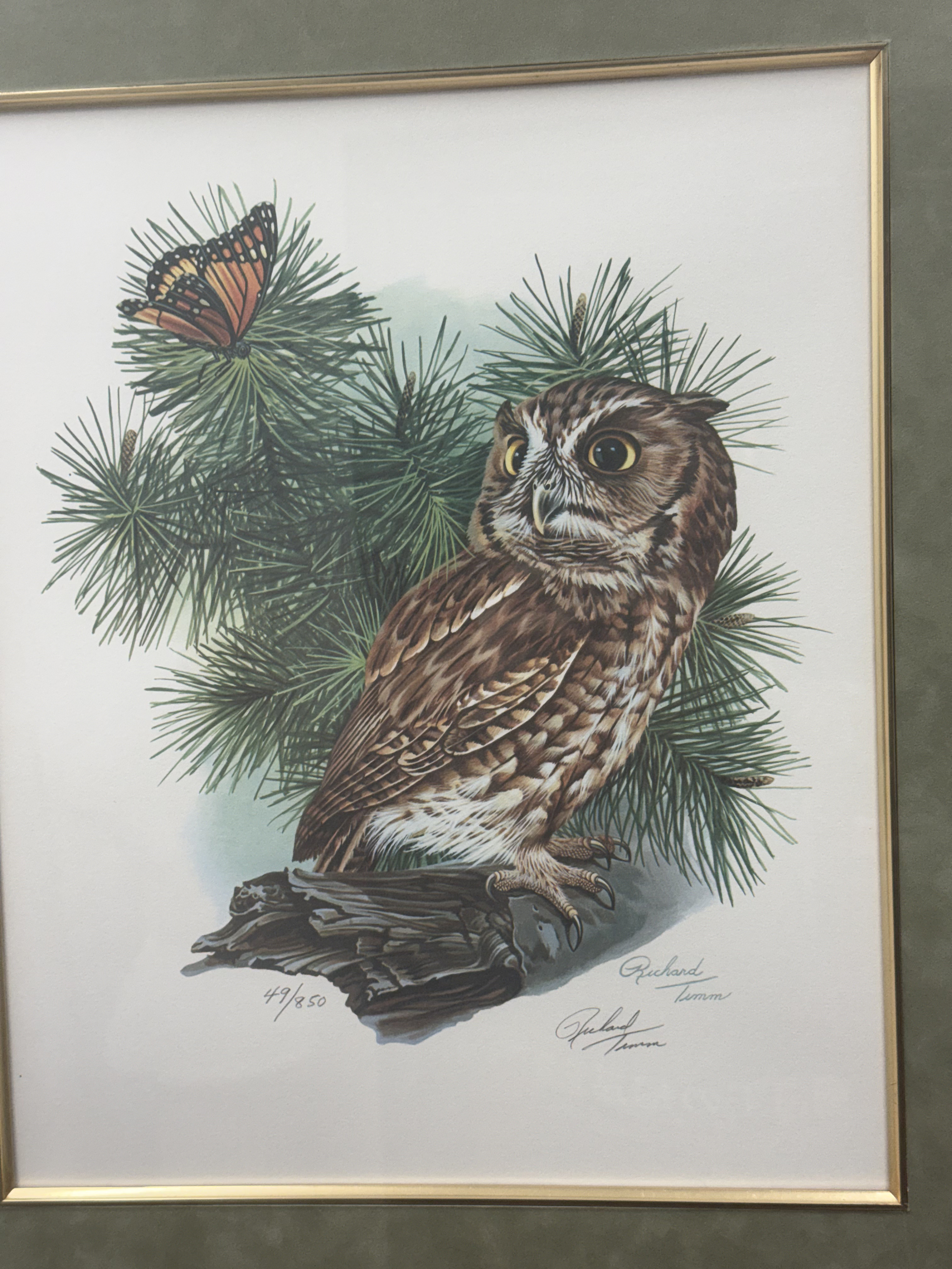 Richard Timm Signed Screech Owl Lithograph
