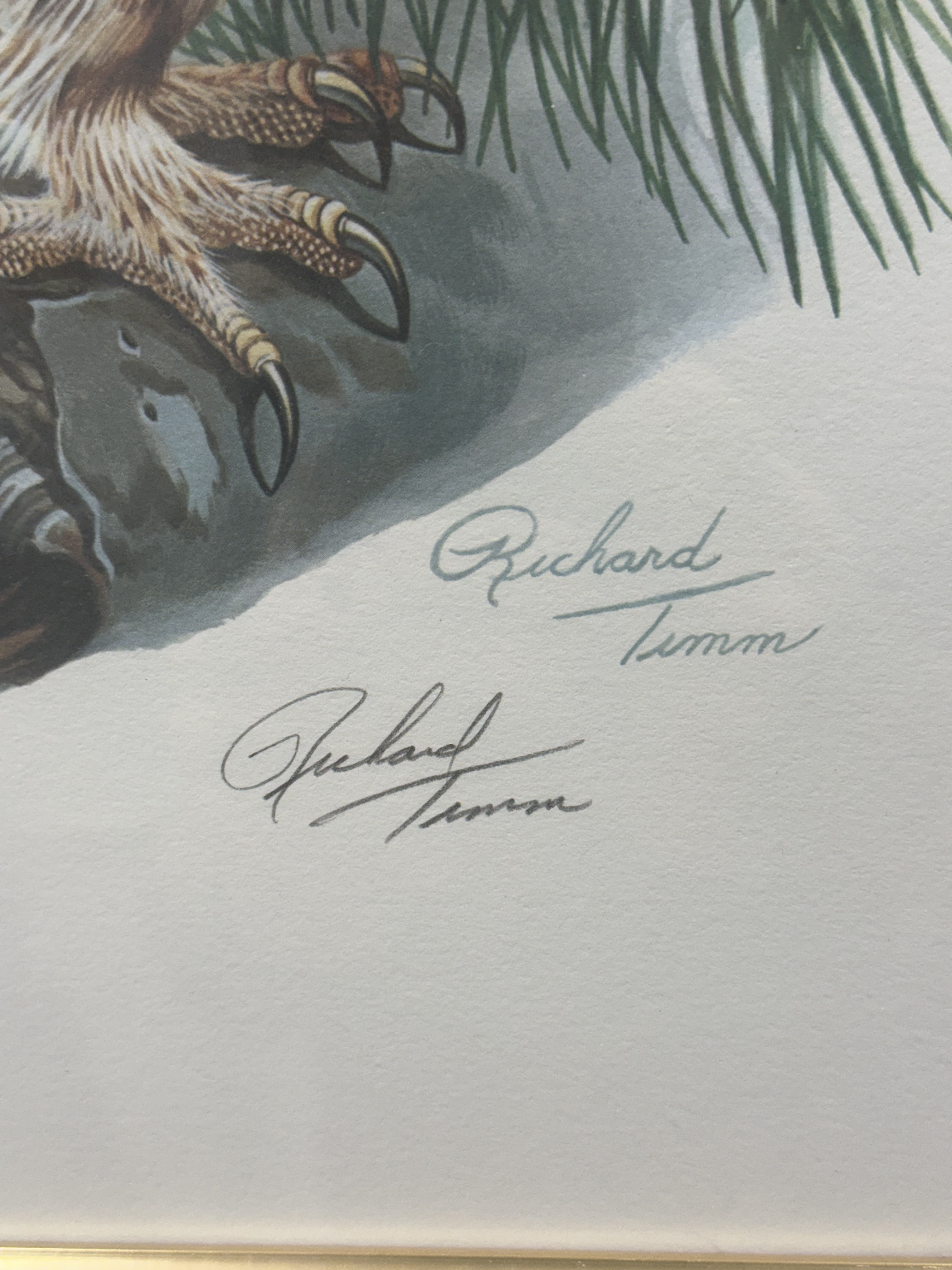 Richard Timm Signed Screech Owl Lithograph