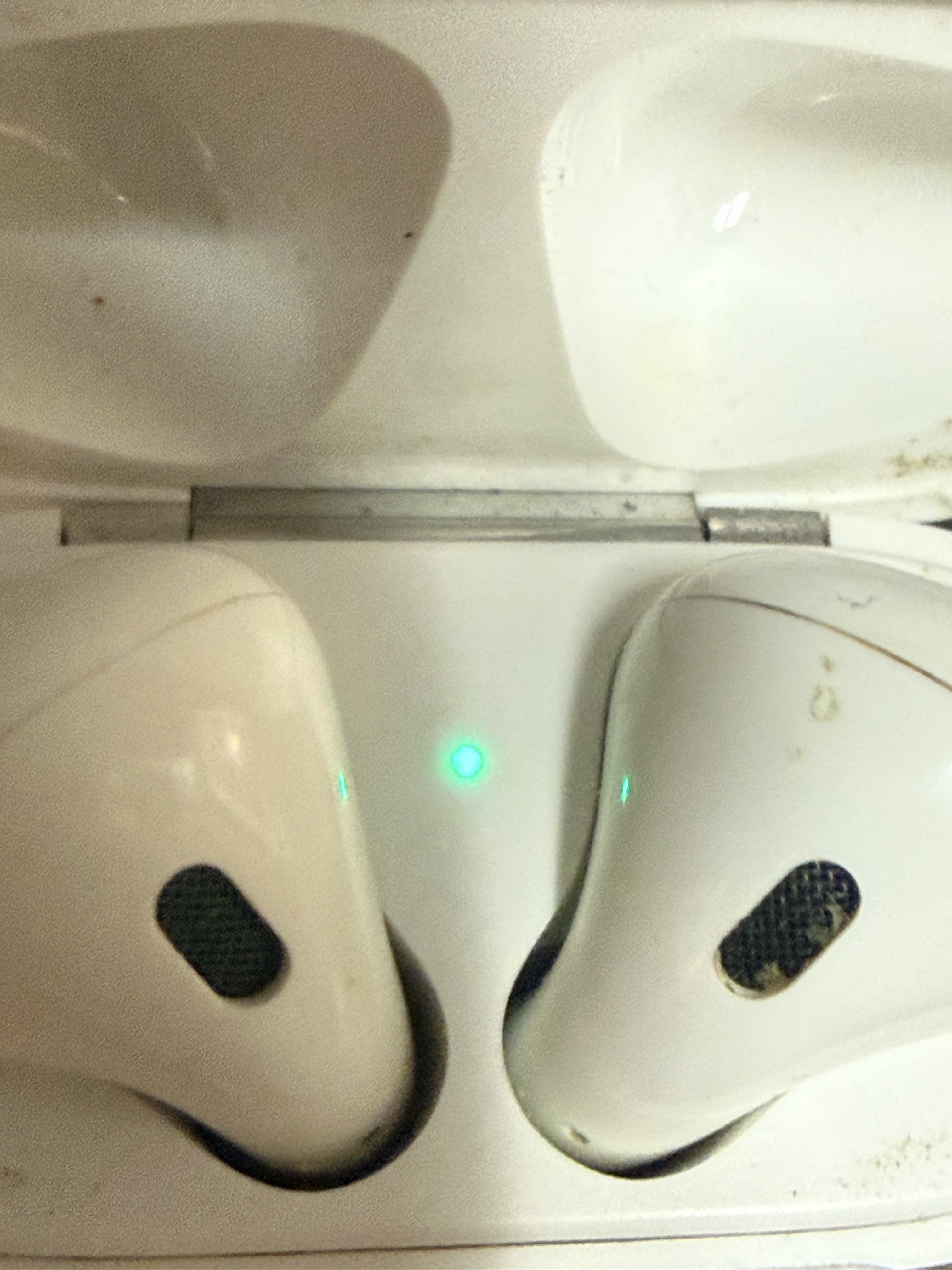 Apple AirPods With Case