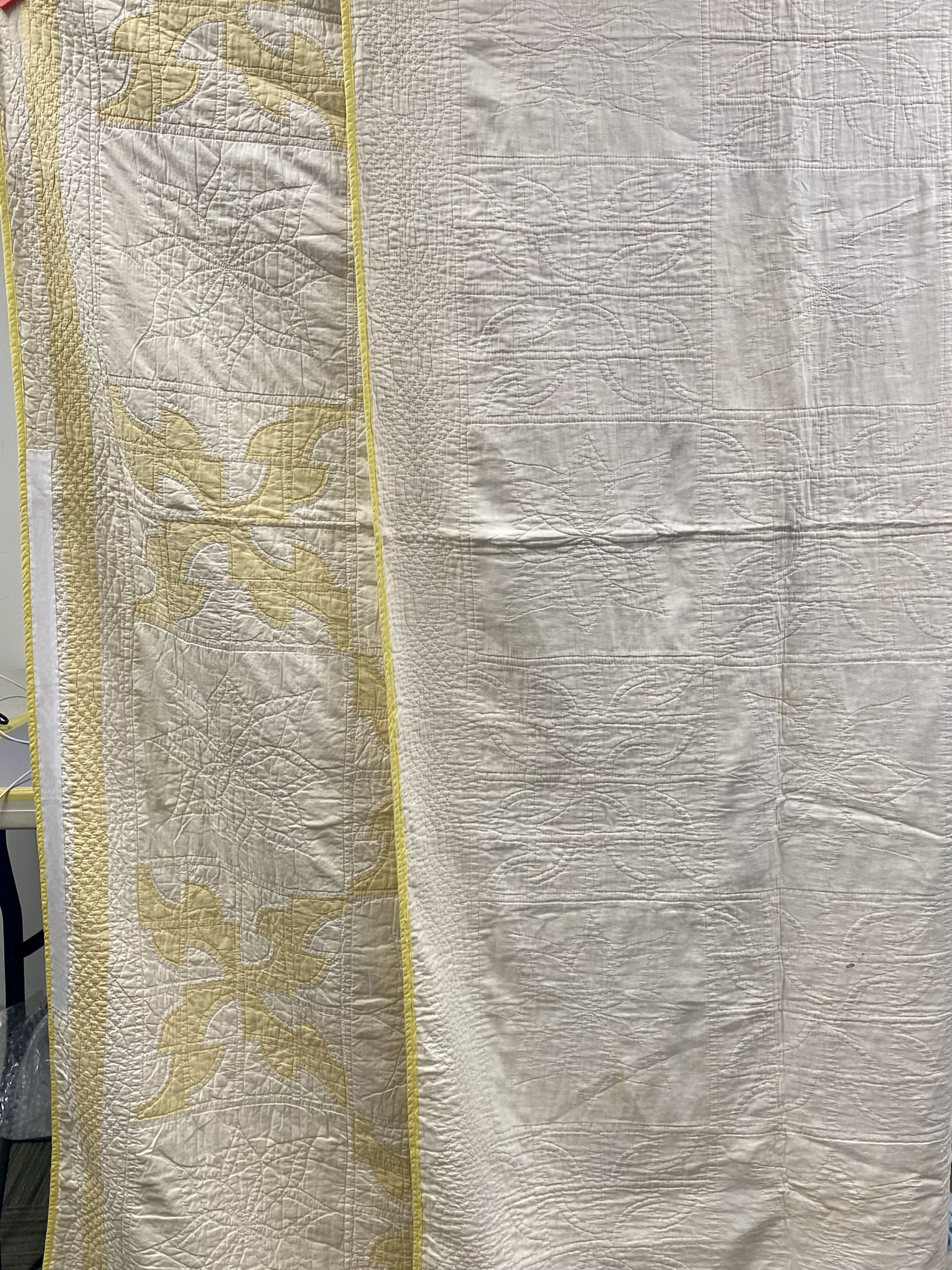 American Foliate Applique Cotton Quilt
