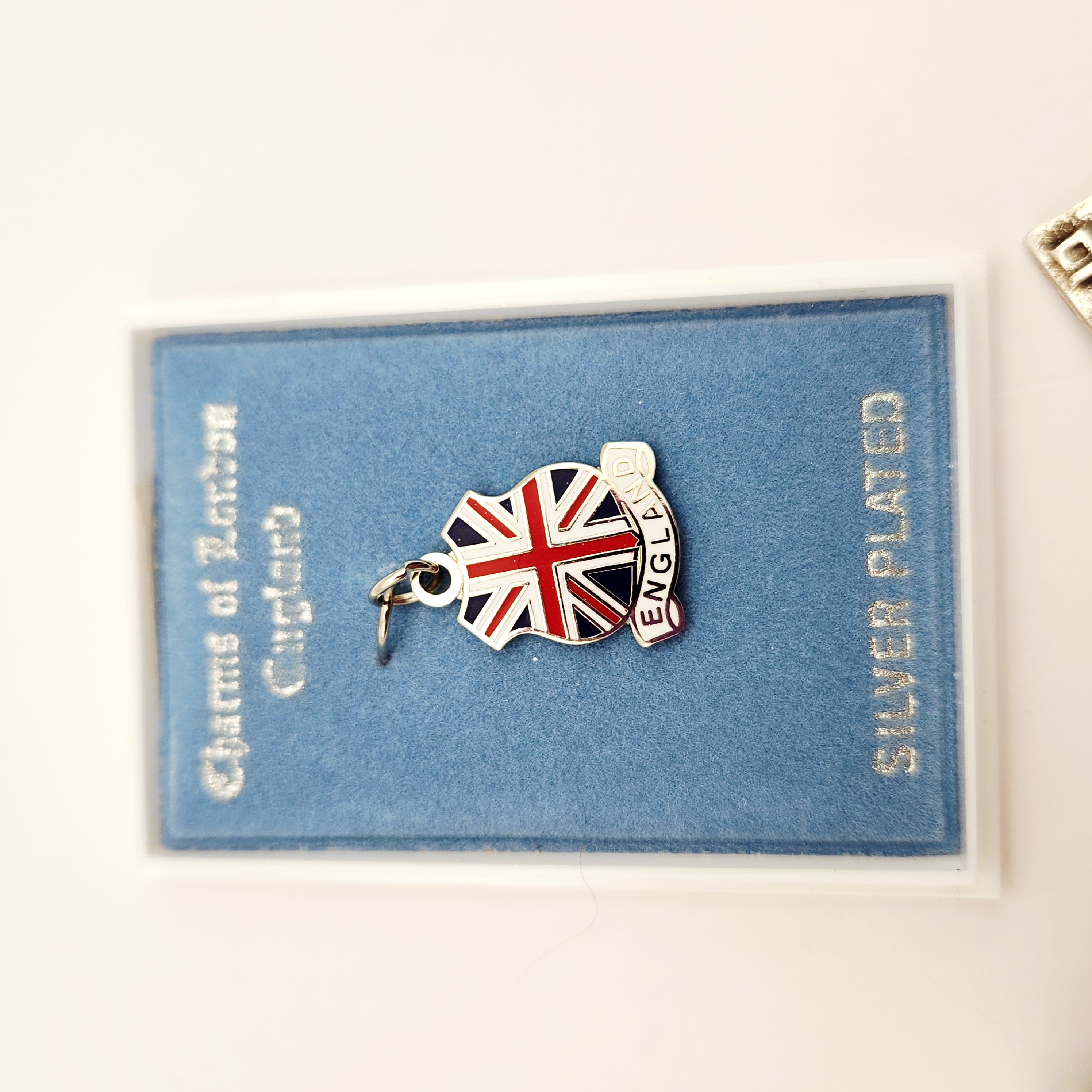 Silver Charm Bracelet Collection