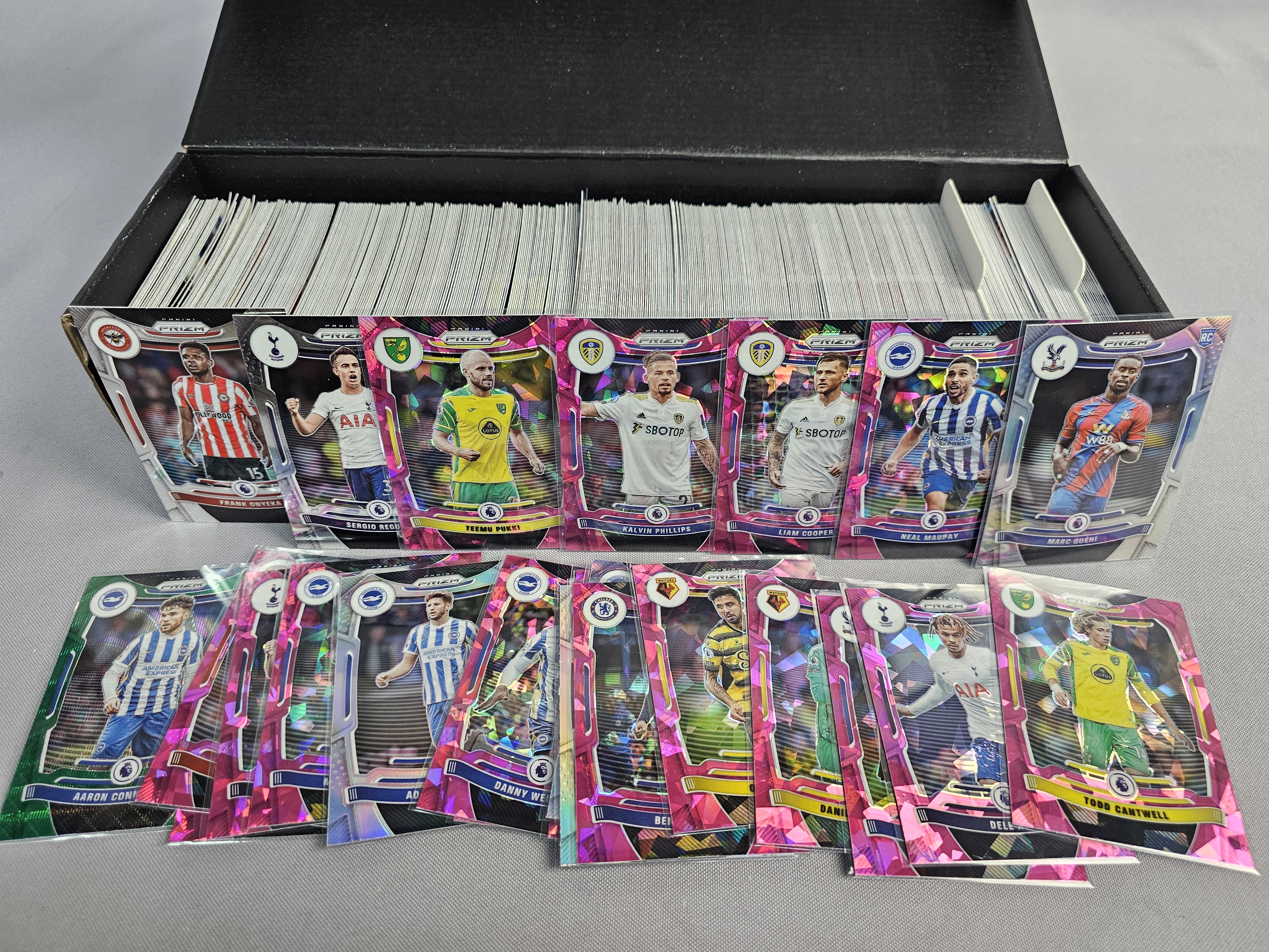 Large Panini and Topps Soccer Card Collection