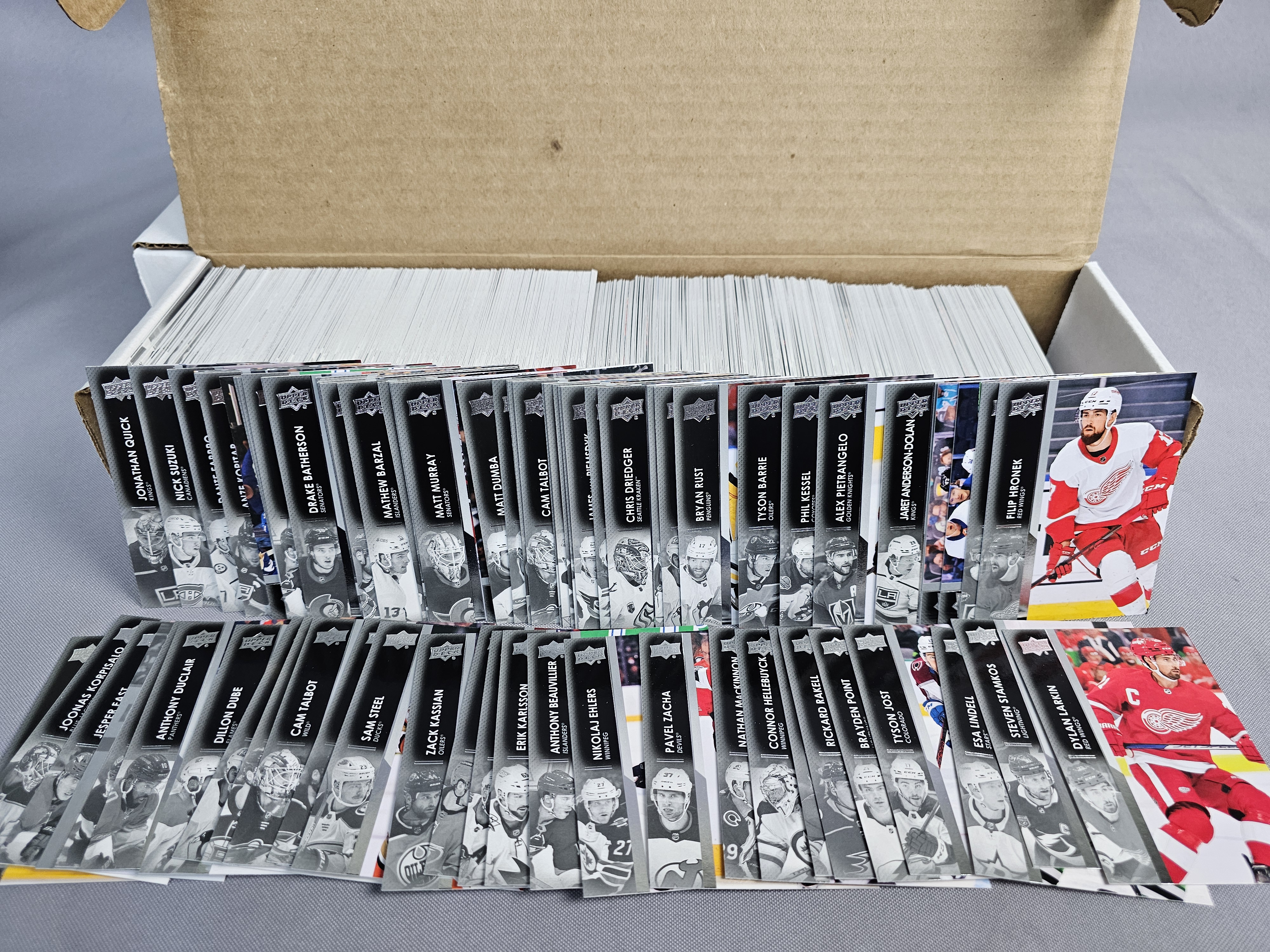 Bulk Collection Upper Deck NHL Cards