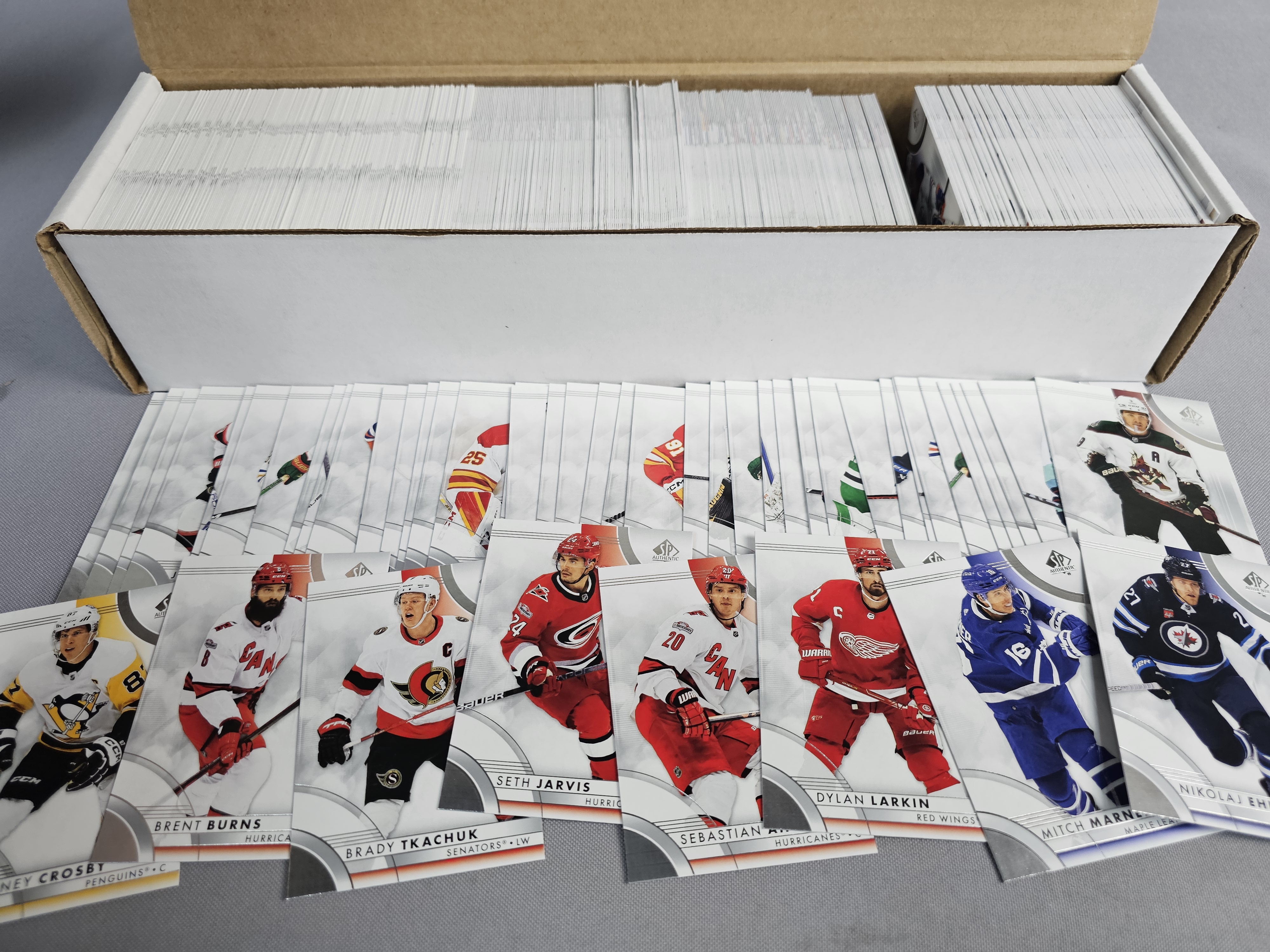 Bulk Collection Upper Deck NHL Cards