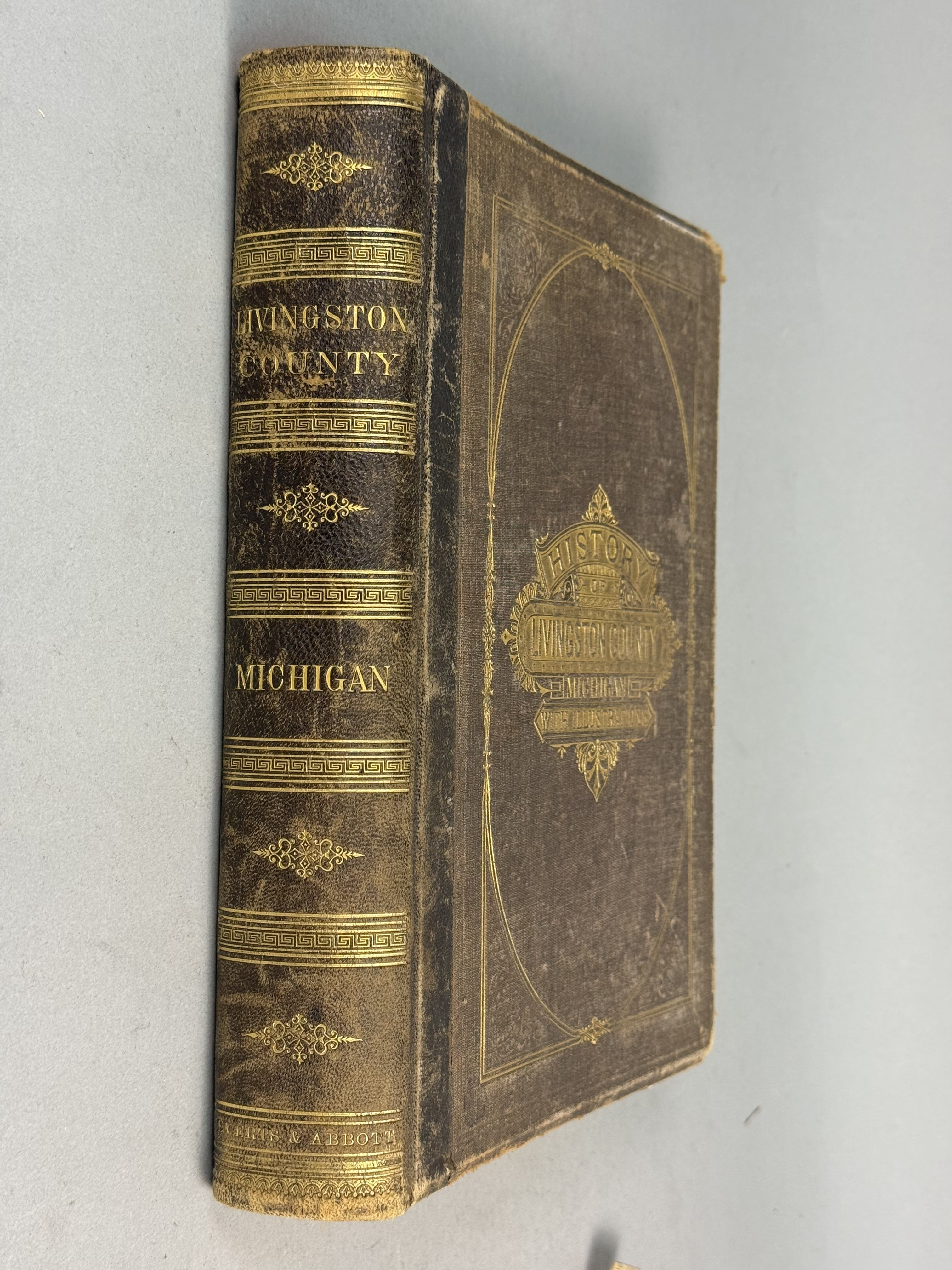 Everts & Abbott Livingston County Michigan History 1880